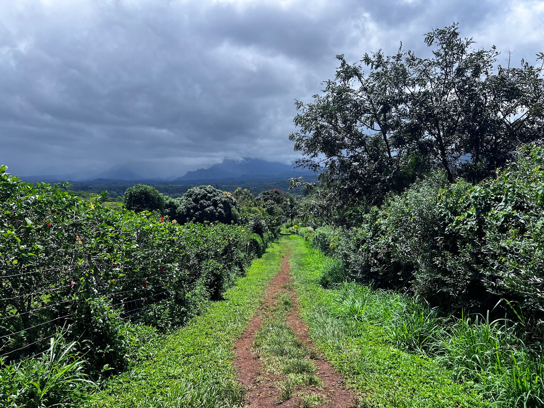 Sleeping Giant West Trailhead in Kapaʻa, Kaua‘i
