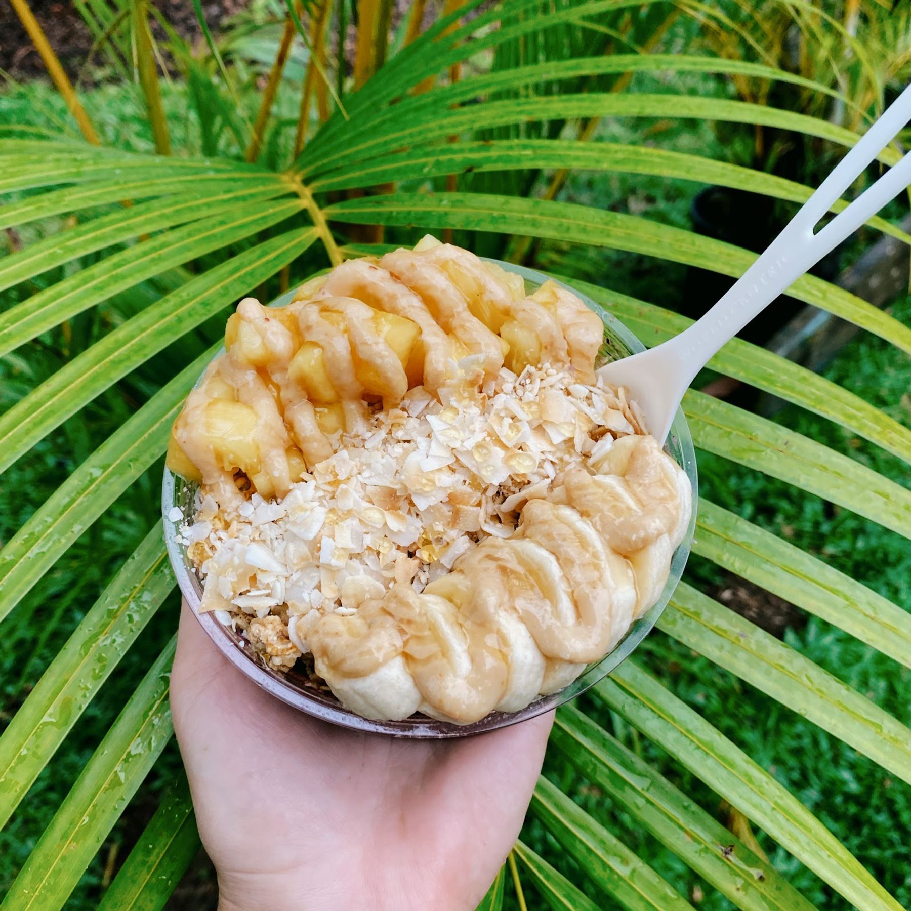 Photo 1 of Hana Bowls in Hāna, Maui