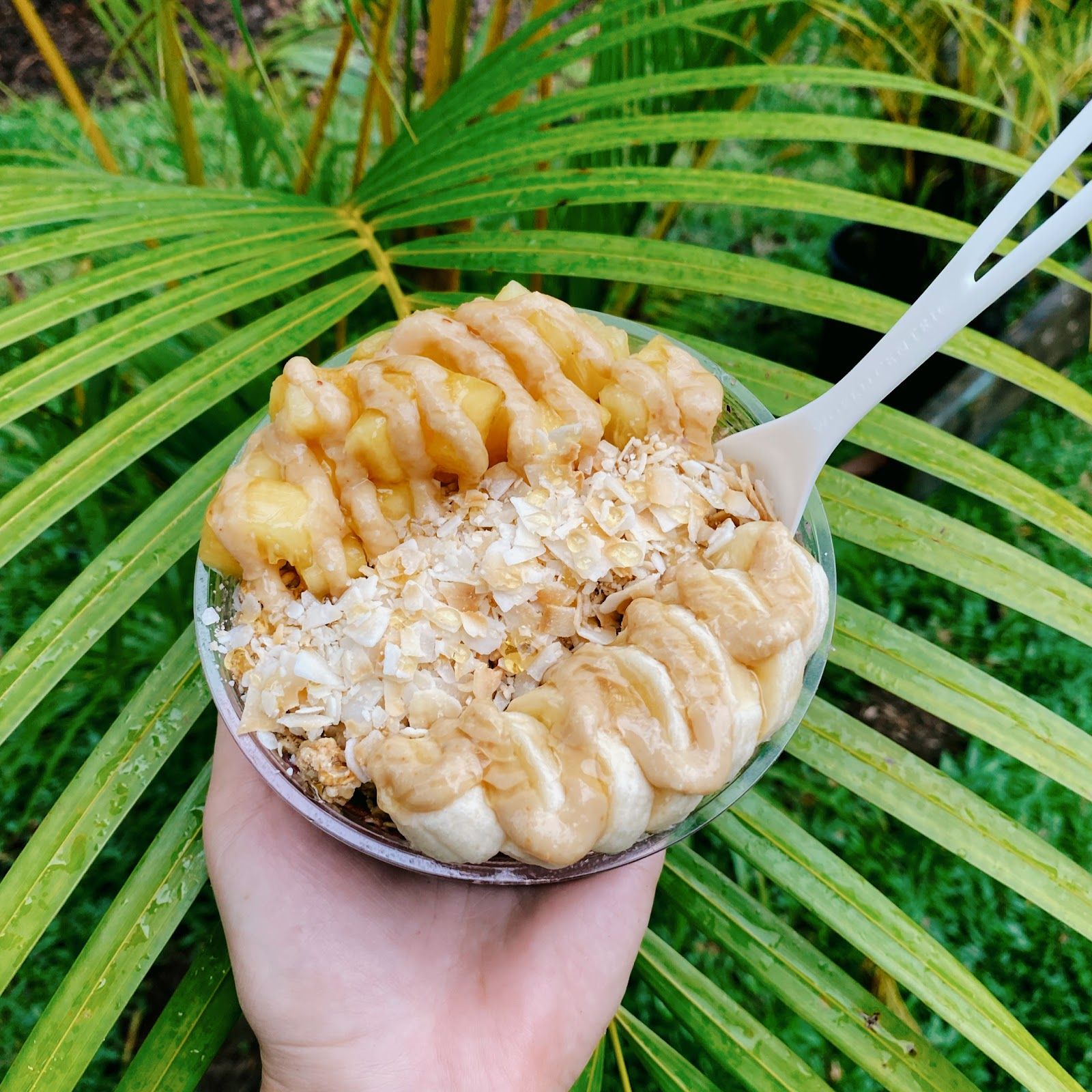 Photo 1 of Hana Bowls in Hāna, Maui