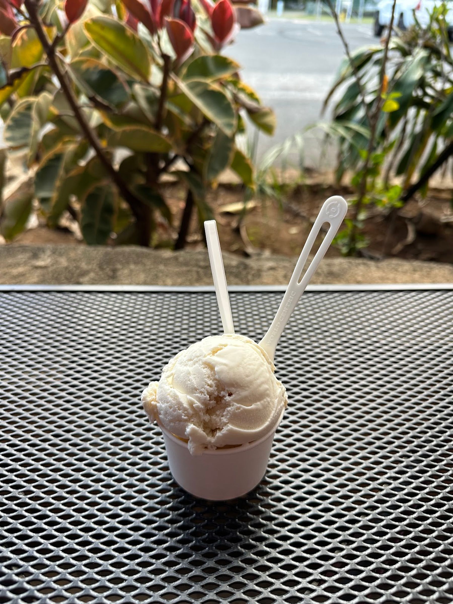 Photo 2 of Dave's Ice Cream at Waimanalo in Waimānalo, Oahu