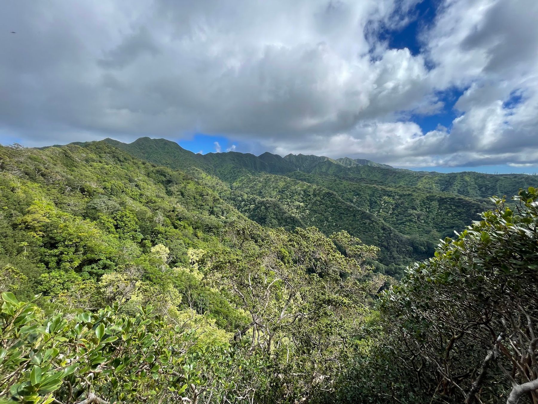 Photo 4 of Waʻahila Ridge State Recreation Area in Mānoa, Makiki & Nuʻuanu, Oahu
