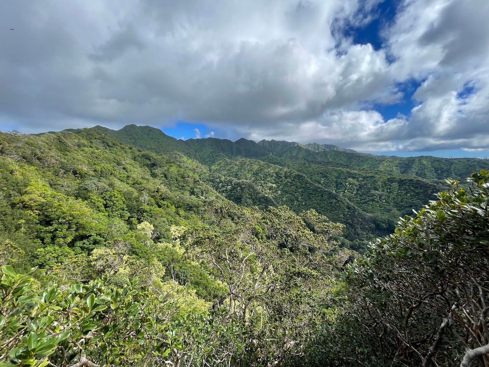Photo 4 of Waʻahila Ridge State Recreation Area in Mānoa, Makiki & Nuʻuanu, Oahu
