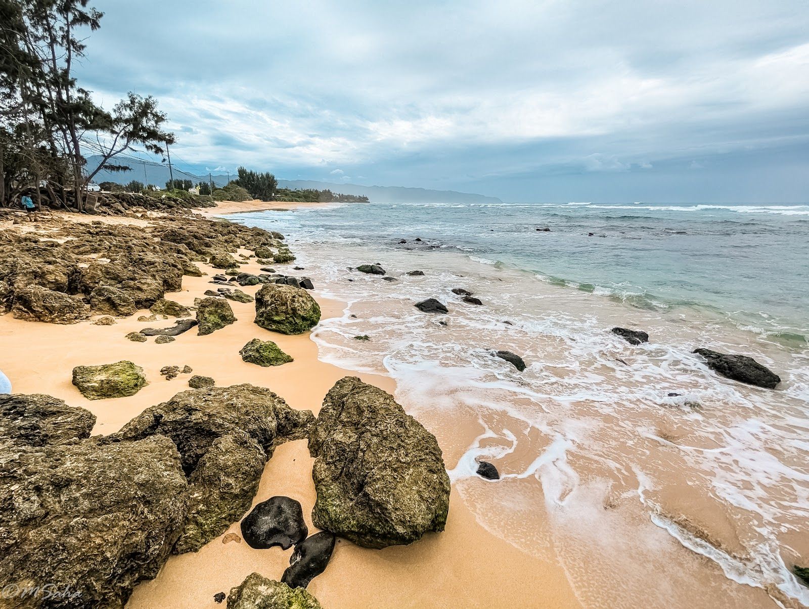 Photo 8 of Laniakea Beach in Haleʻiwa, Oahu