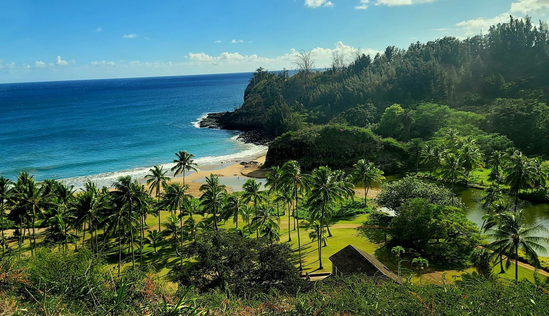 McBryde & Allerton National Tropical Botanical Garden in Poʻipū, Kaua‘i photo 3