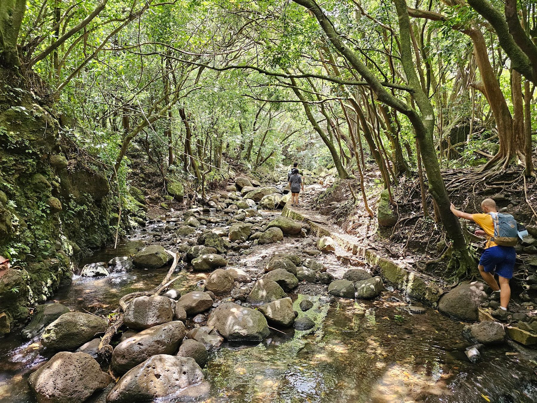 Photo 4 of Lulumahu Falls in Mānoa, Makiki & Nuʻuanu, Oahu