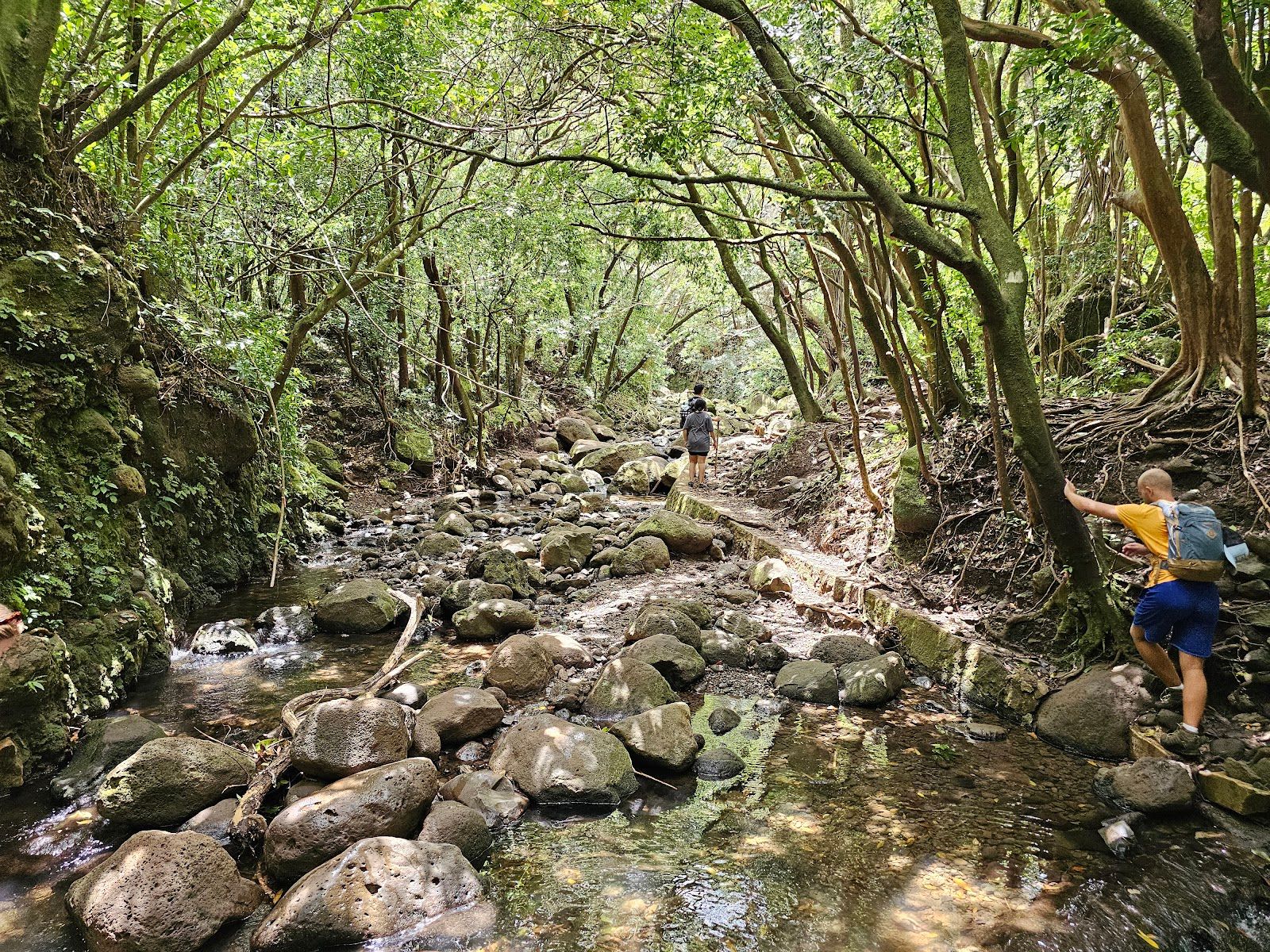 Photo 4 of Lulumahu Falls in Mānoa, Makiki & Nuʻuanu, Oahu