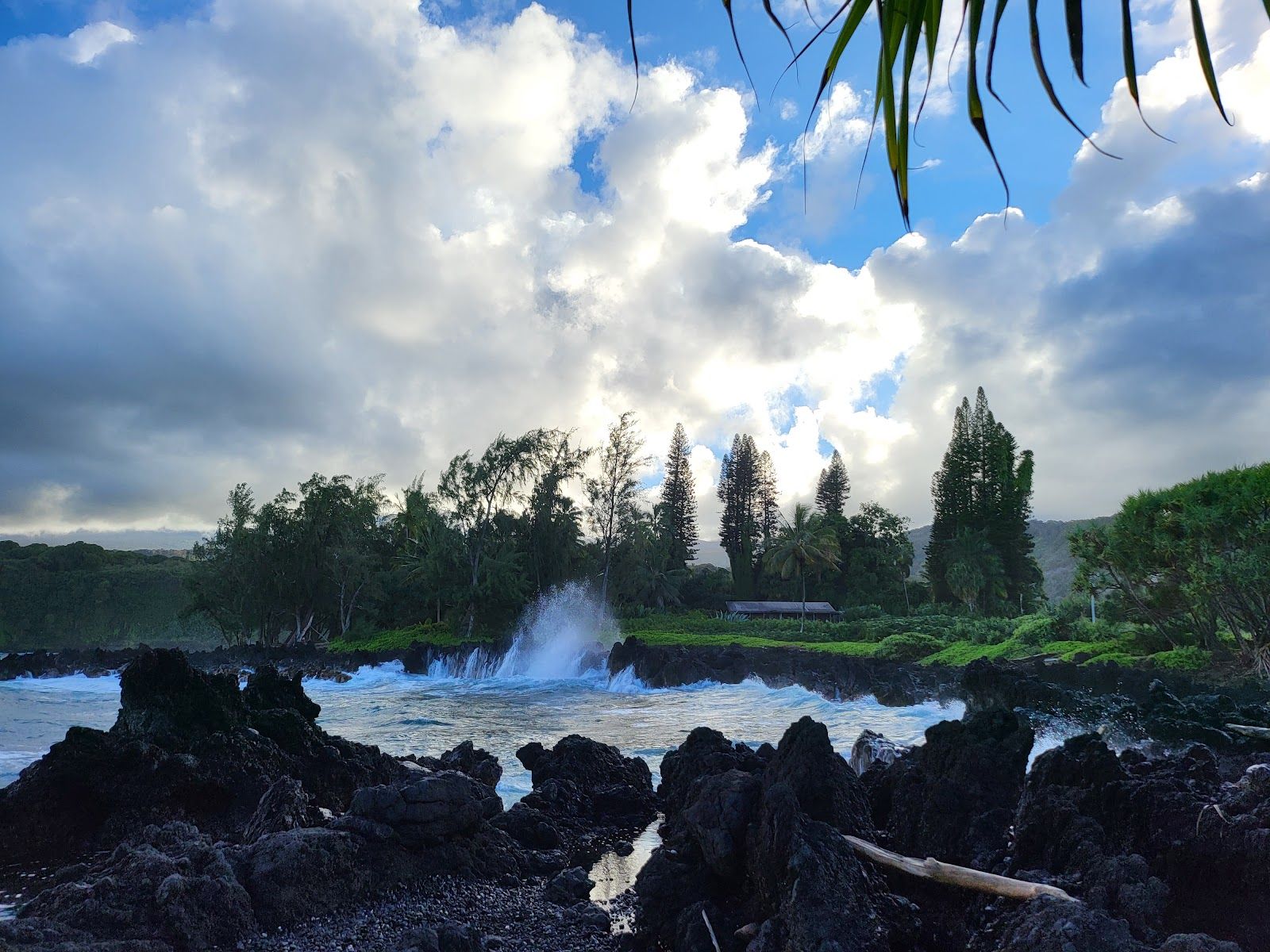 Photo 3 of Road to Hana in Keʻanae-Nāhiku, Maui