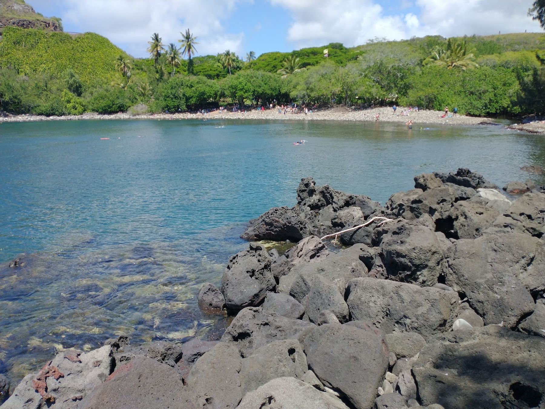 Photo 2 of Honolua Bay in Kapalua, Maui