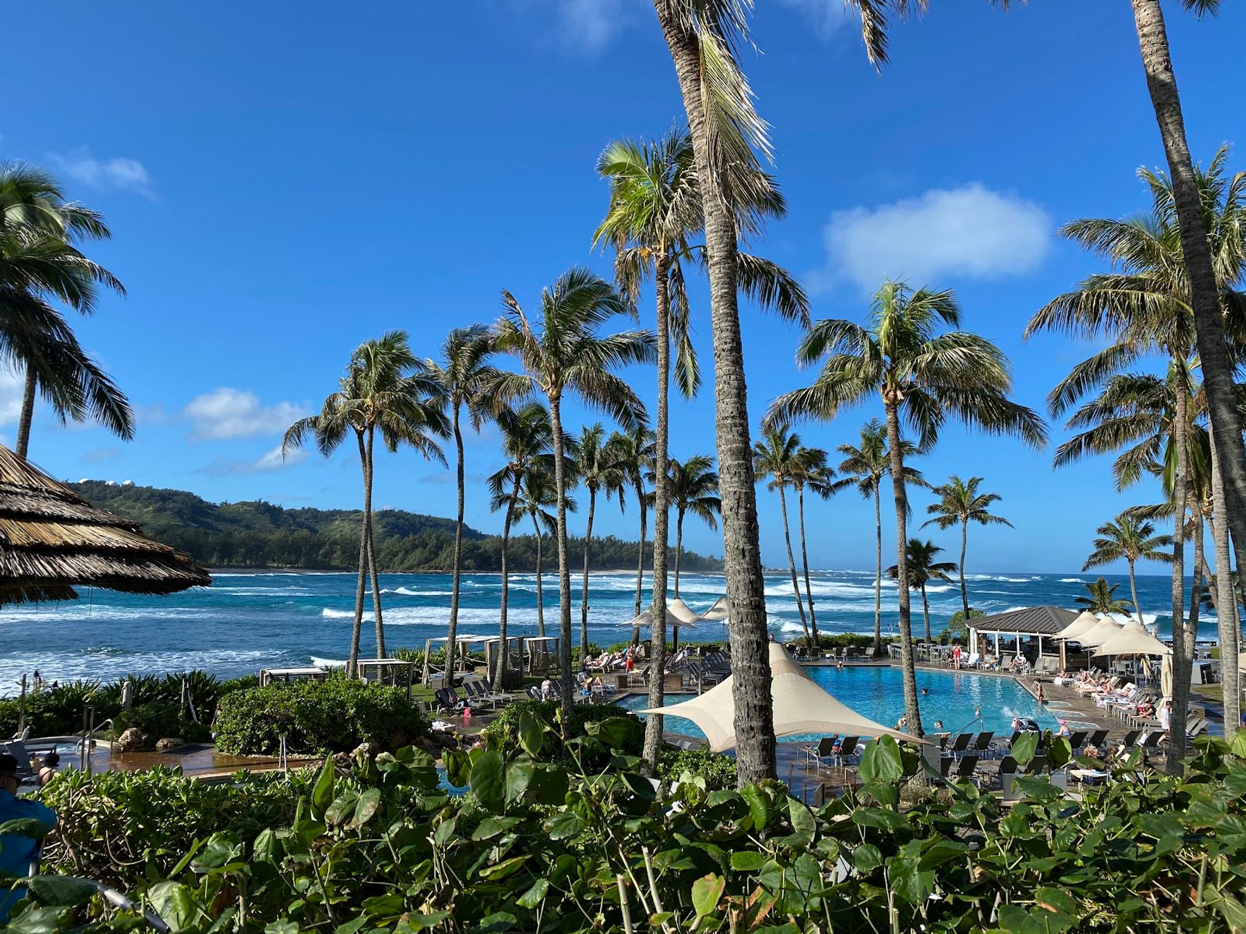 Photo 10 of Turtle Beach in Kahuku & Turtle Bay, Oahu