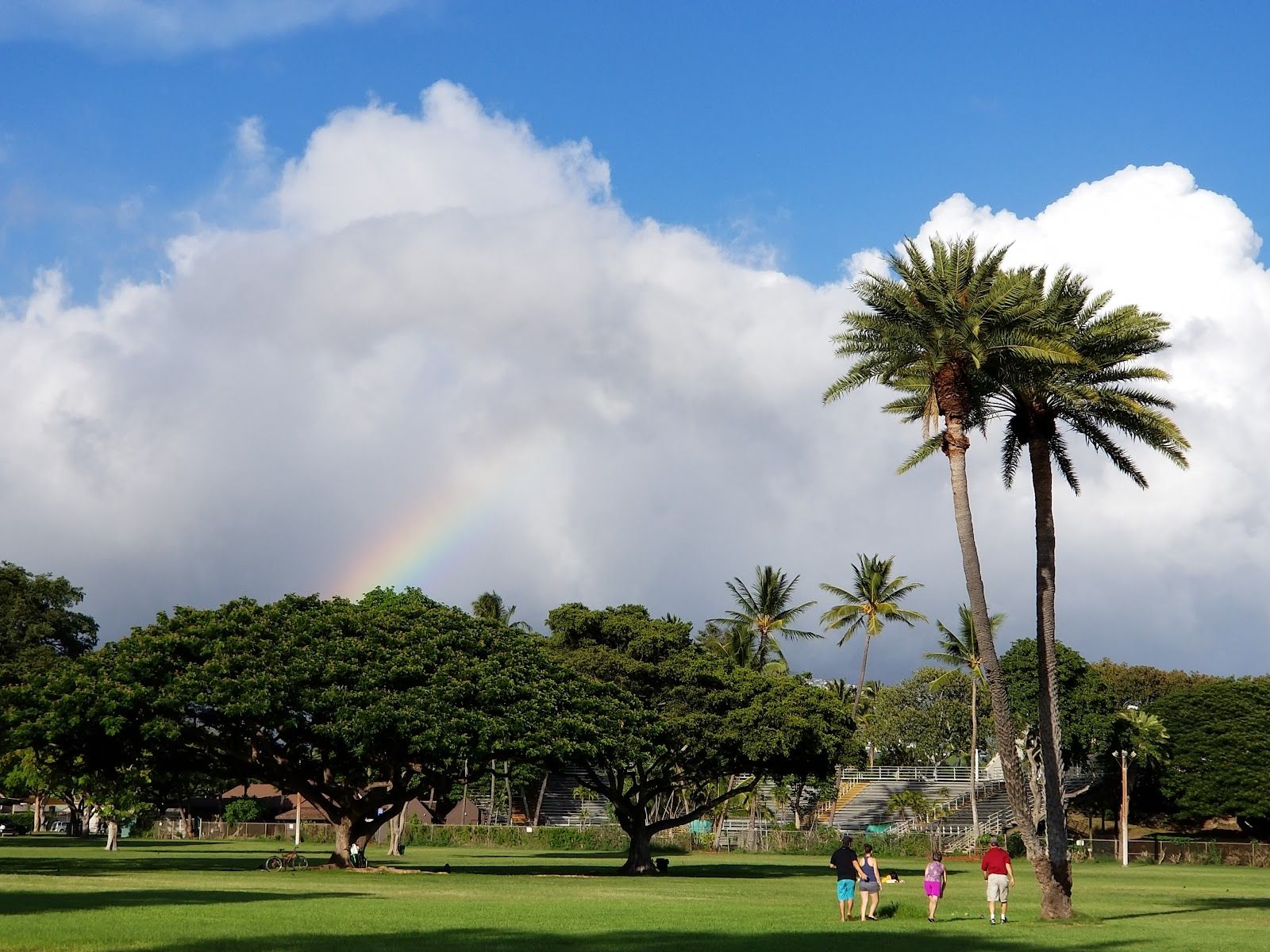 Photo 7 of Kapiʻolani Regional Park in Diamond Head & Kapahulu, Oahu