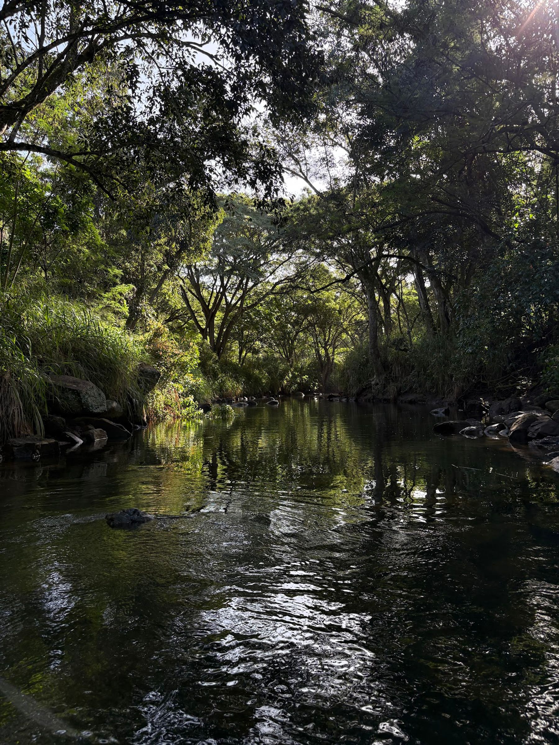 Photo 8 of Blue Planet Adventure Co in Haleʻiwa, Oahu