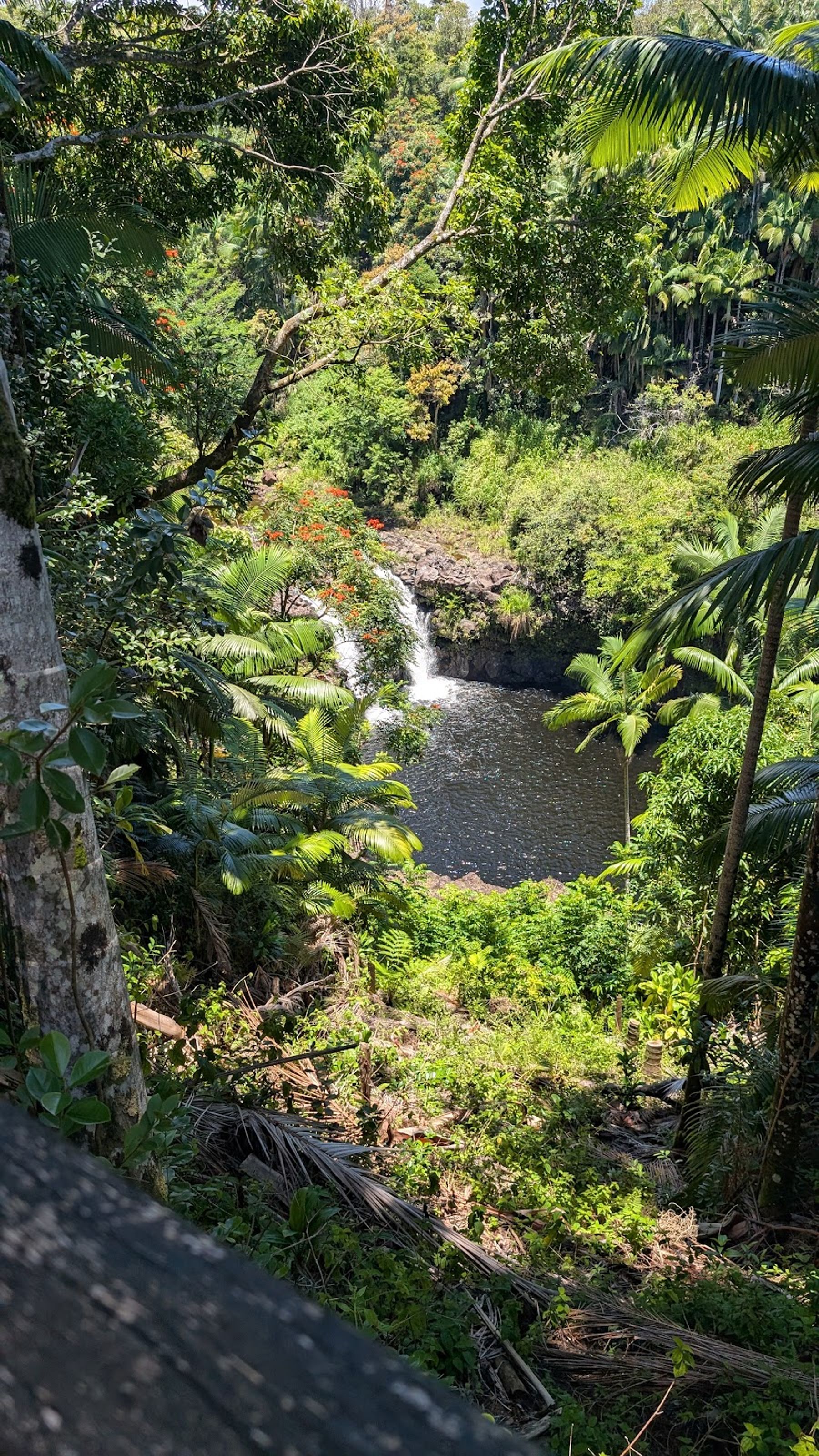 Photo 9 of The Umauma Experience in Greater Hilo, Big Island