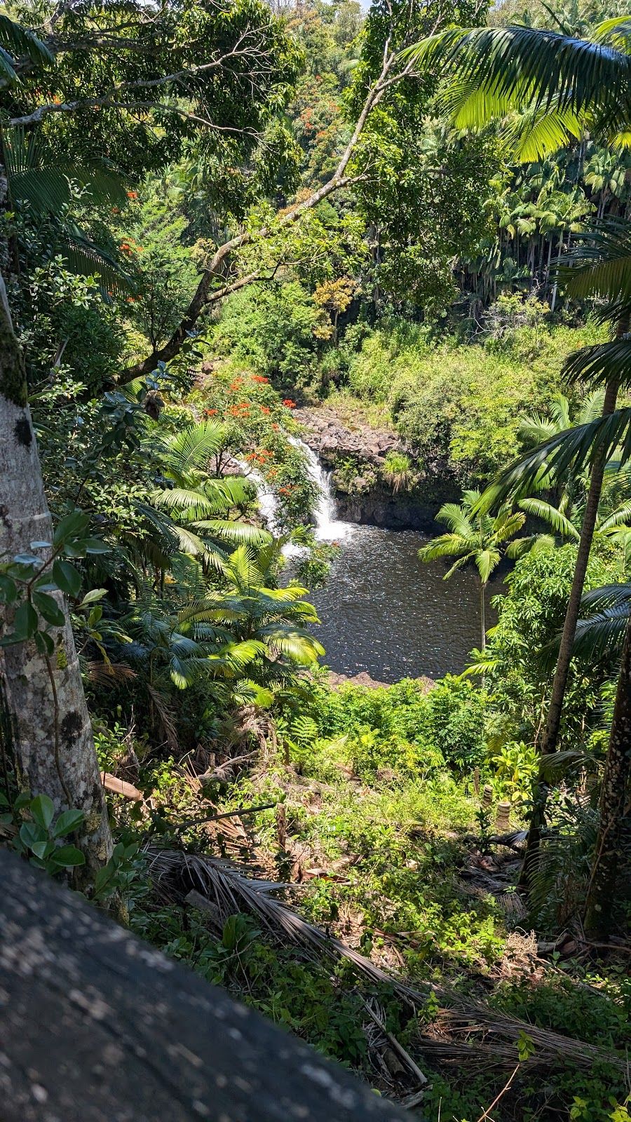 Photo 9 of The Umauma Experience in Greater Hilo, Big Island