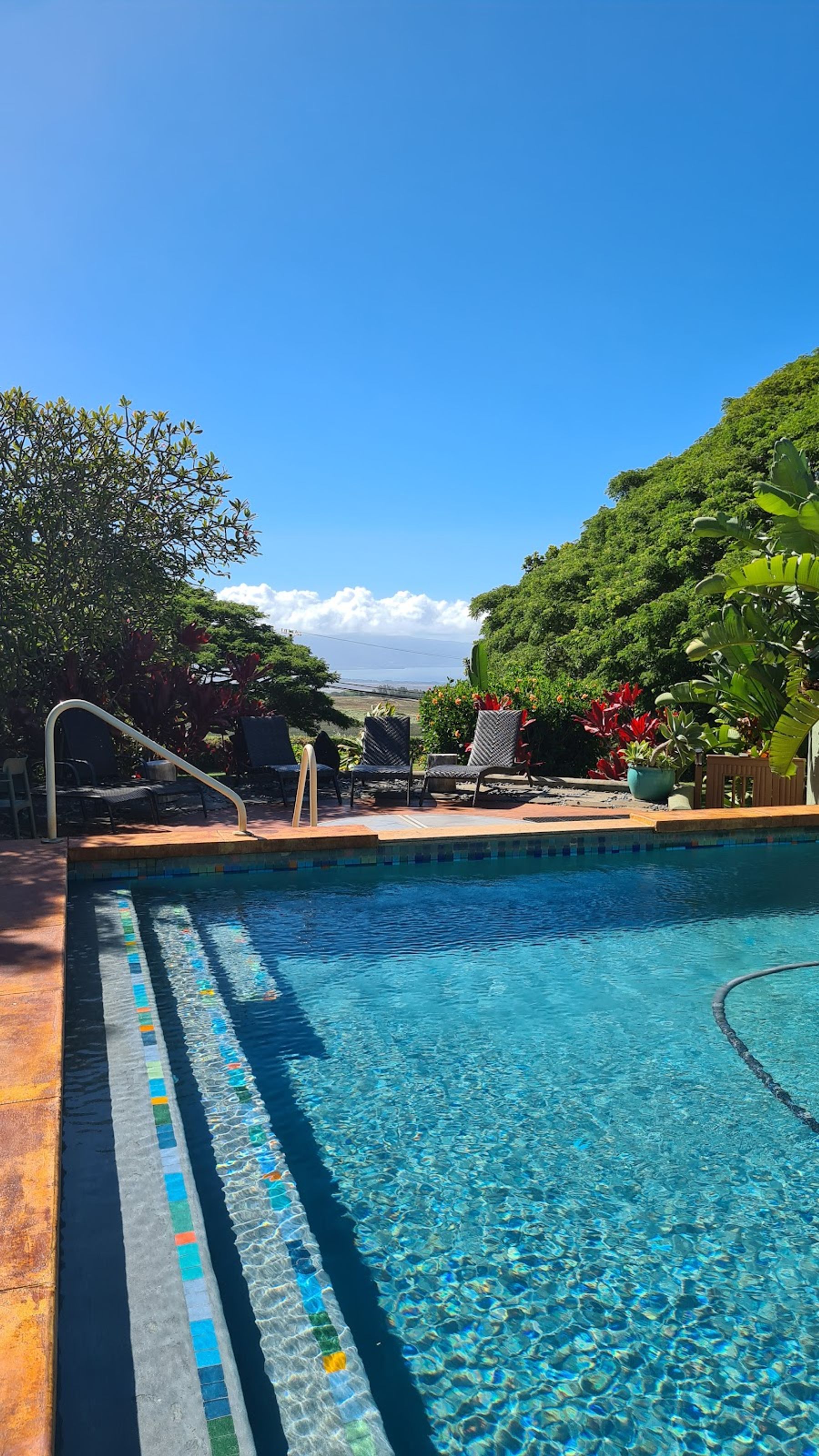 Photo 3 of Banyan Tree Bed and Breakfast in Makawao & Pukalani, Maui