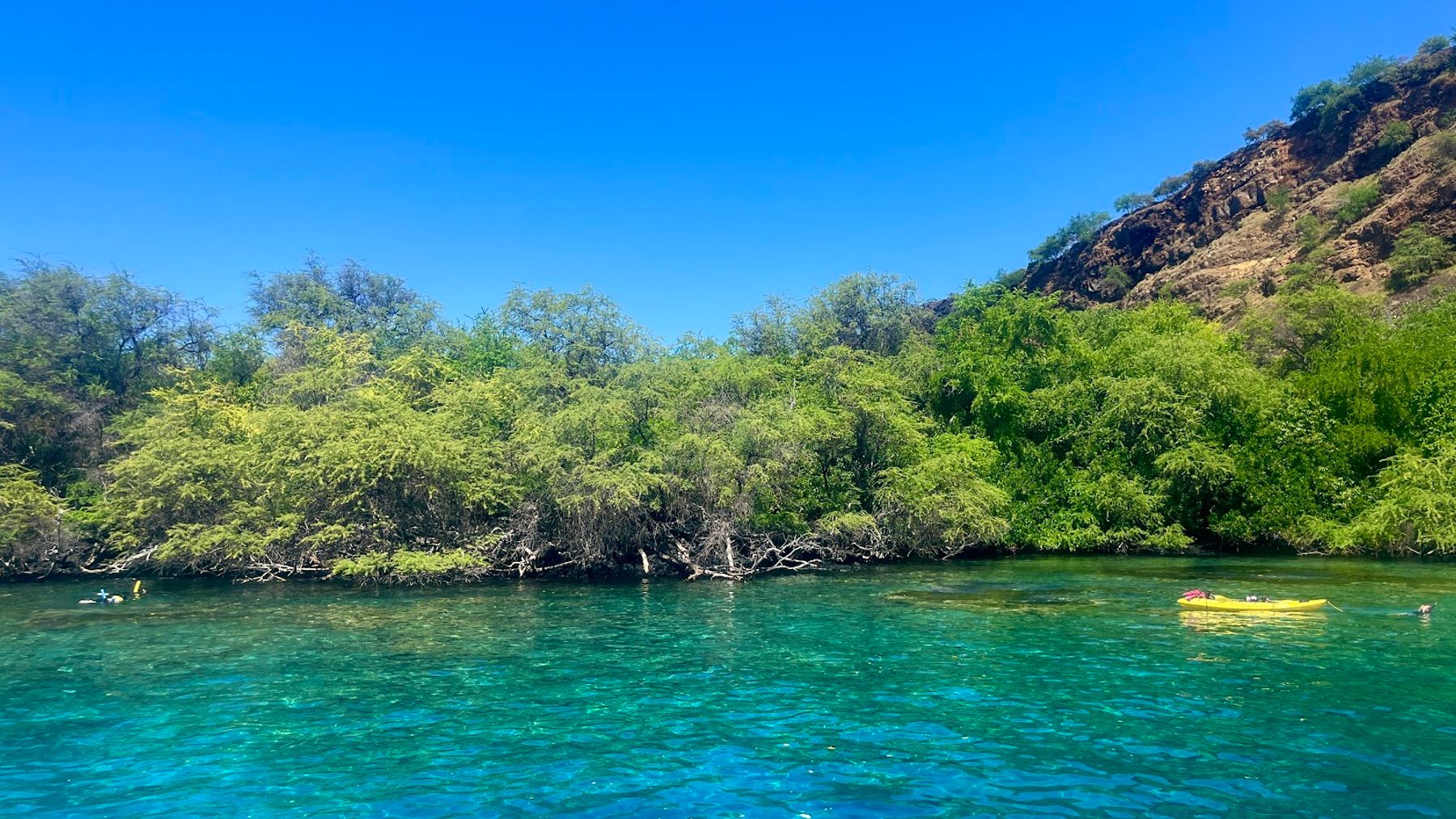 Photo 3 of Captain Cook Cruises in Kailua-Kona, Big Island