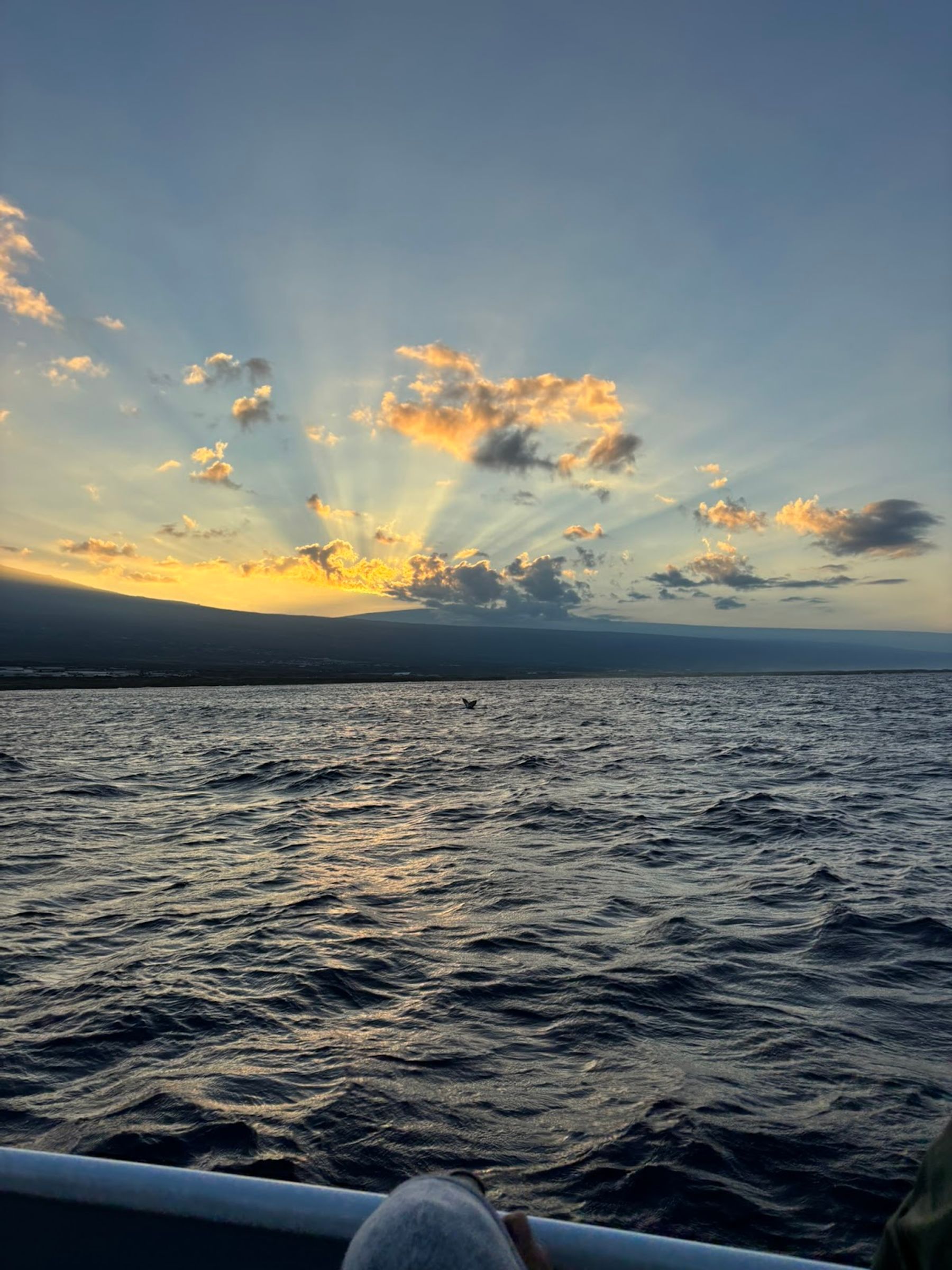 Photo 6 of Hawaiian Adventures Kona in Kailua-Kona, Big Island