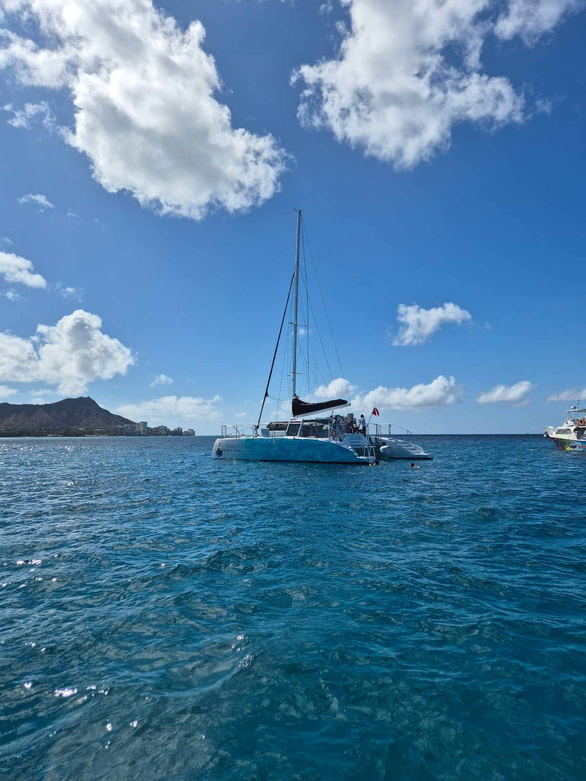 Photo 3 of Waikiki Turtle Snorkeling Oceanstar in Ala Moana & Mōʻiliʻili, Oahu