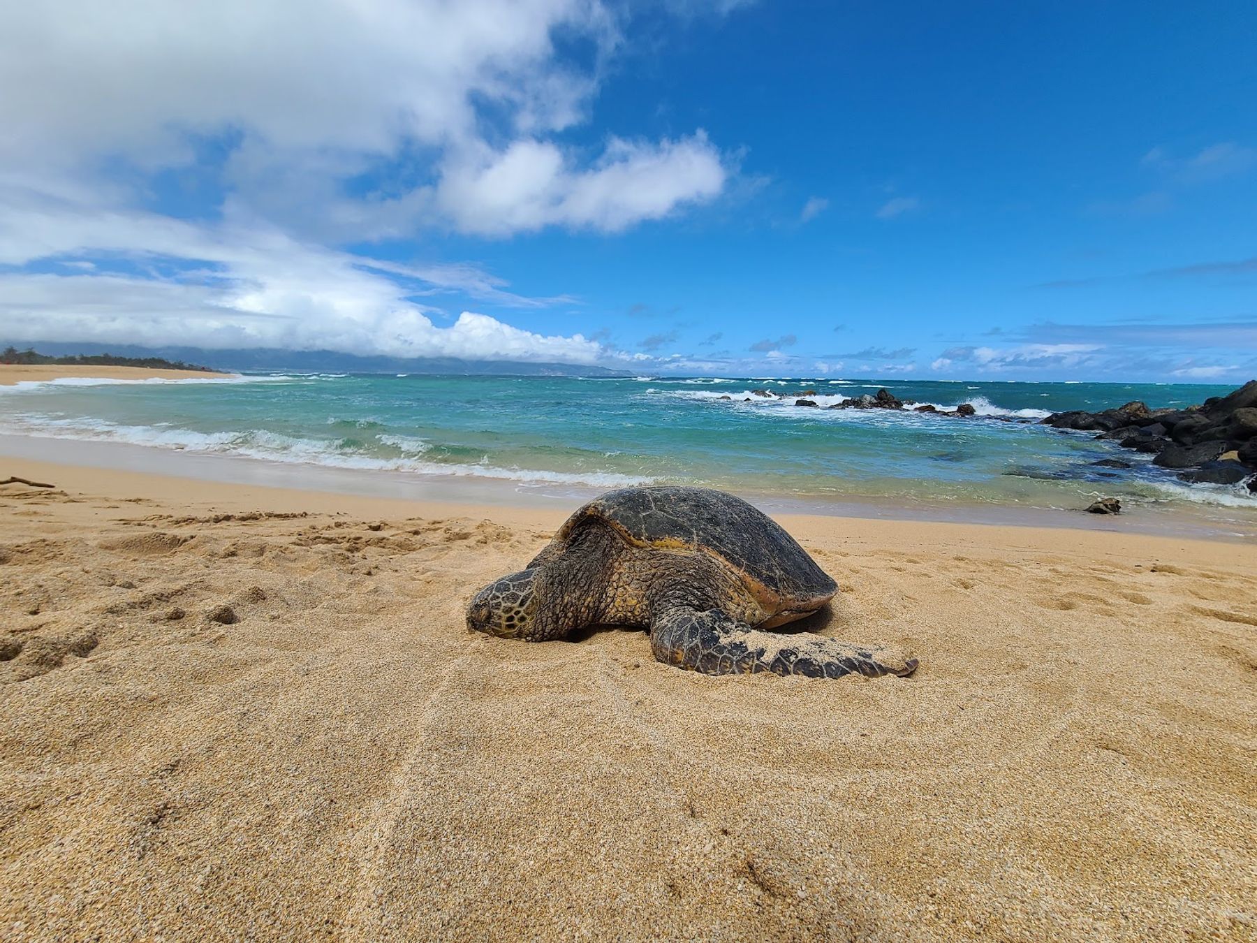 Photo 4 of Baldwin Beach Park in Pāʻia, Maui