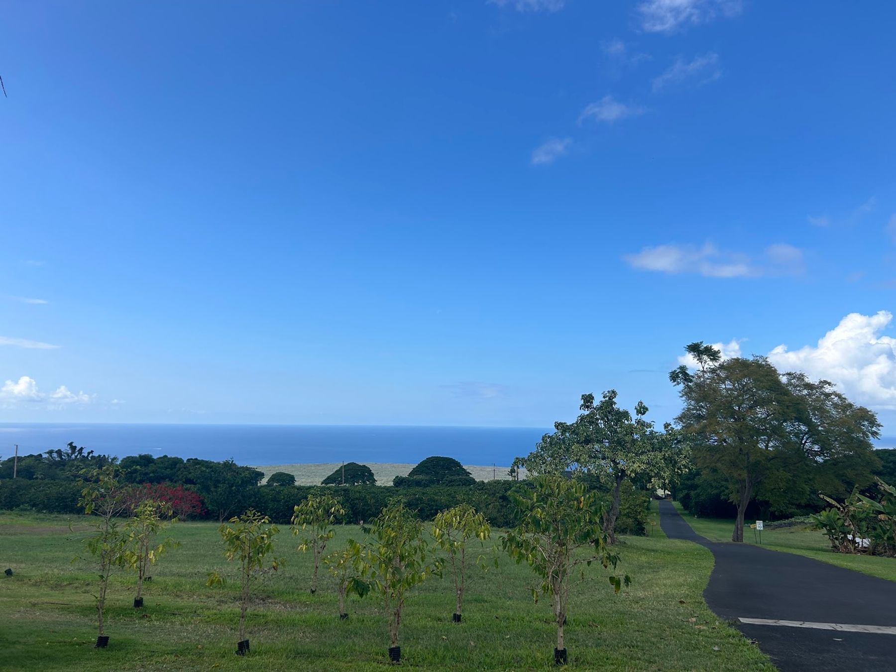 Photo 6 of Wasabi Tours Hawaii in Kailua-Kona, Big Island