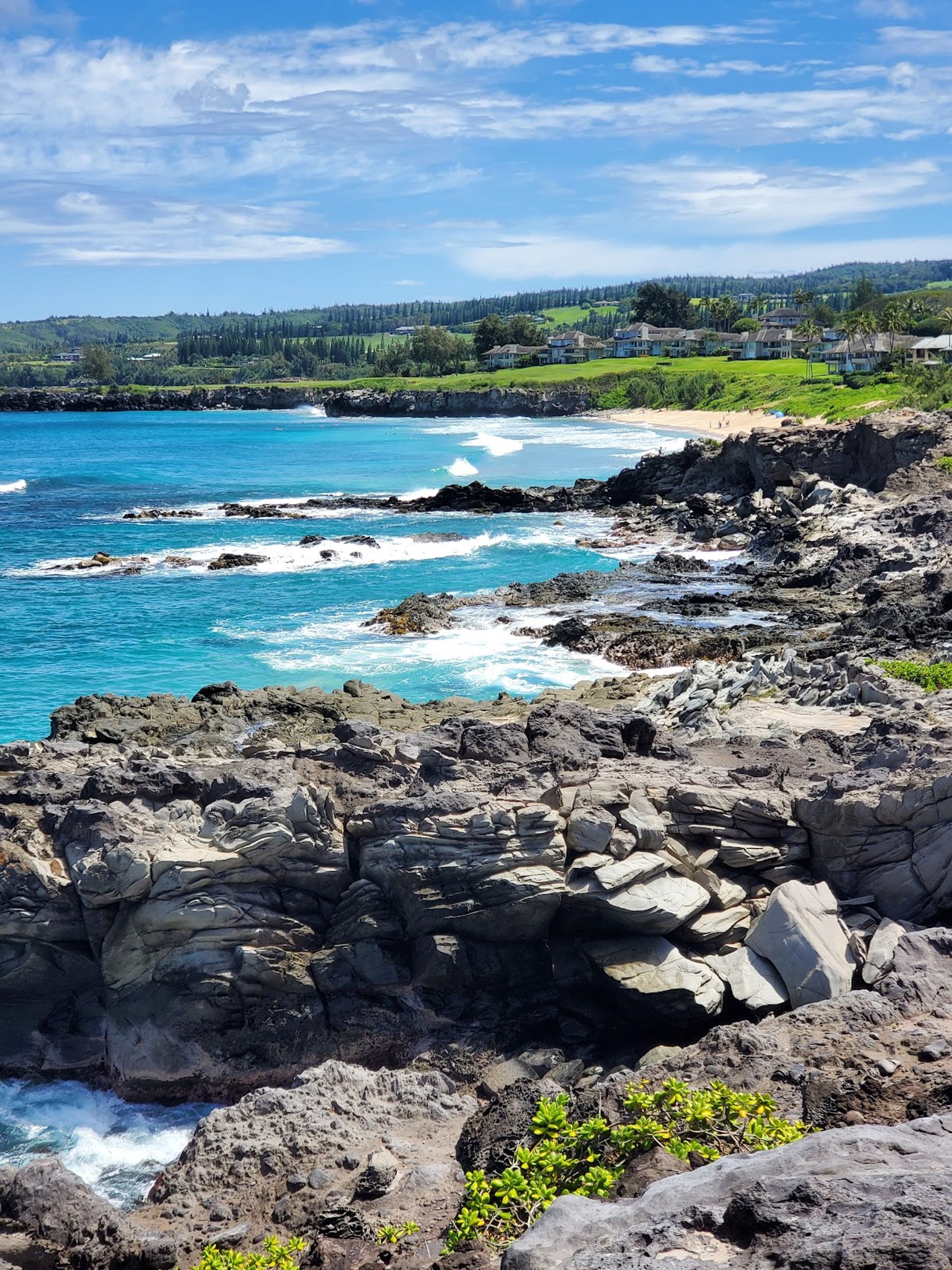 Photo 6 of Kapalua Coastal Trail in Kapalua, Maui