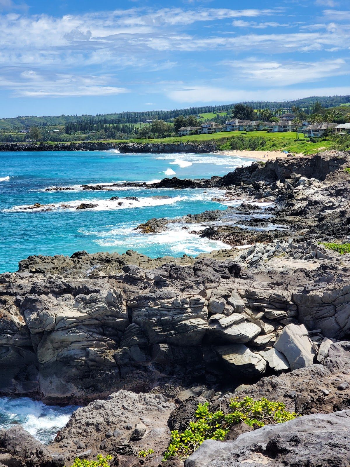 Photo 6 of Kapalua Coastal Trail in Kapalua, Maui