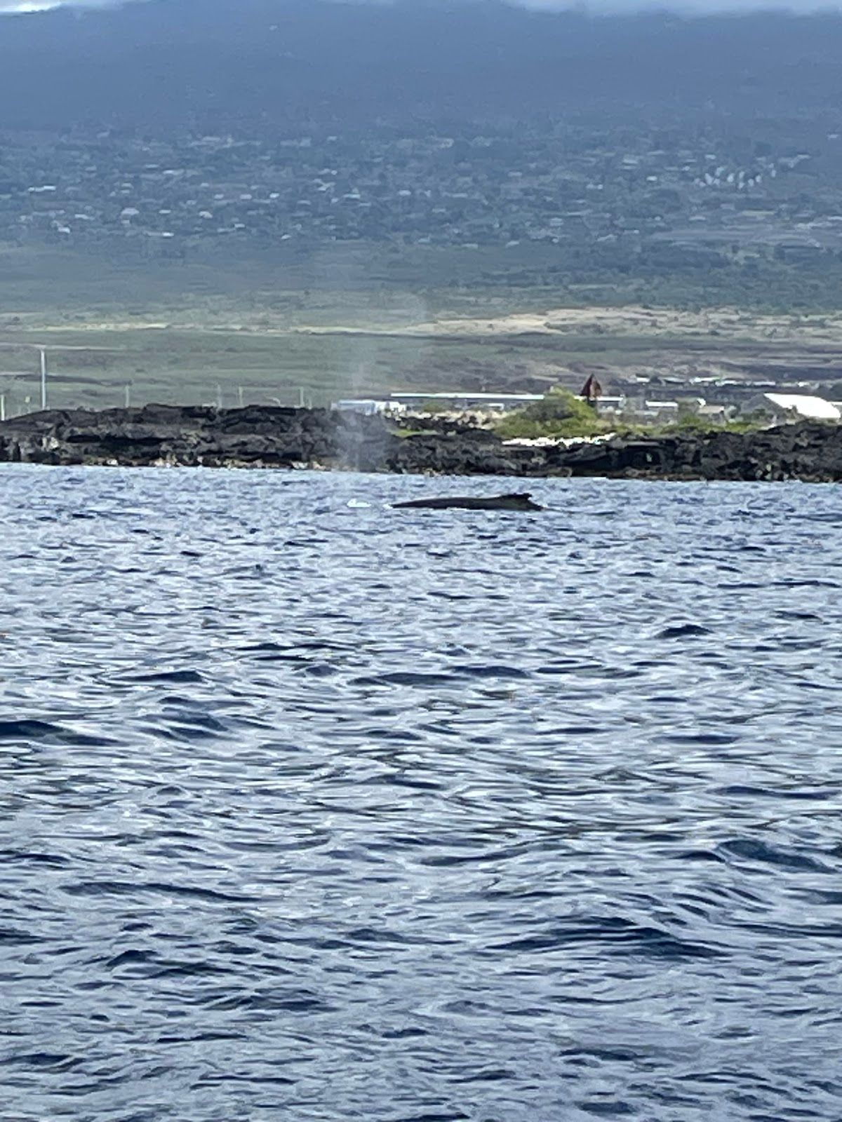 Photo 7 of Hawaiian Adventures Kona in Kailua-Kona, Big Island
