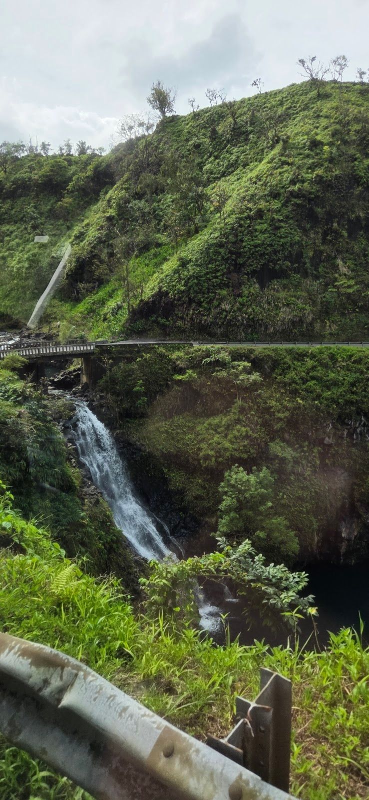 Photo 5 of Memorable Maui Tours in Wailea, Maui