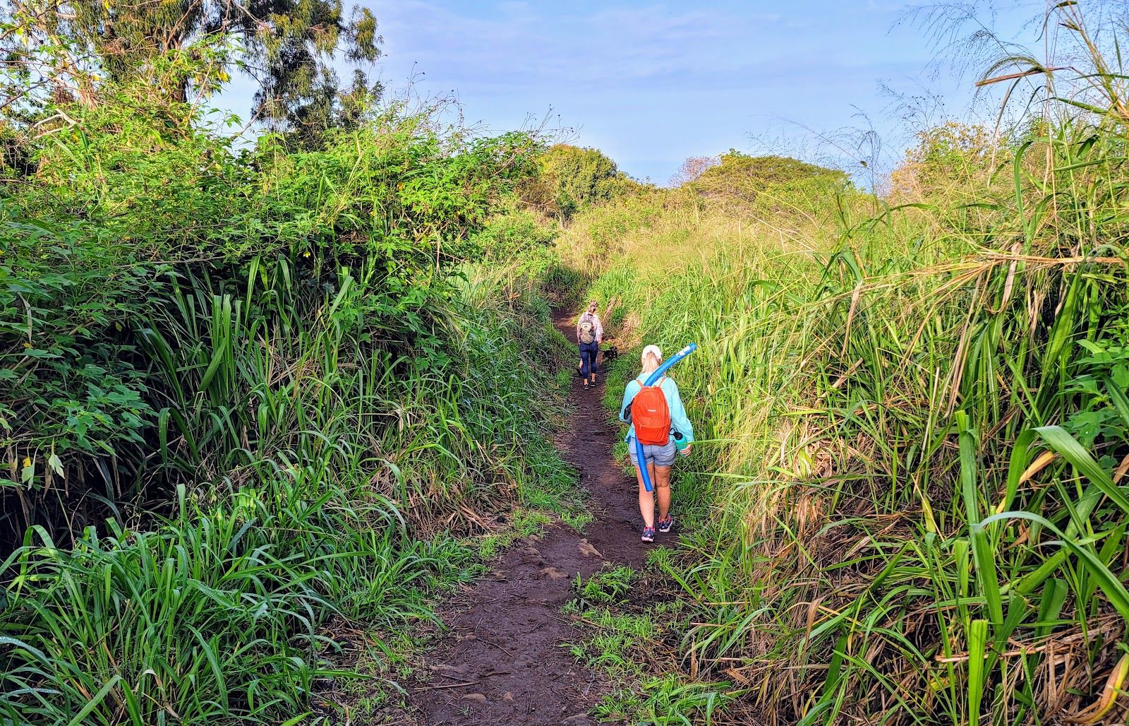 Photo 4 of Captain Cook Monument Trail in South Kona, Big Island