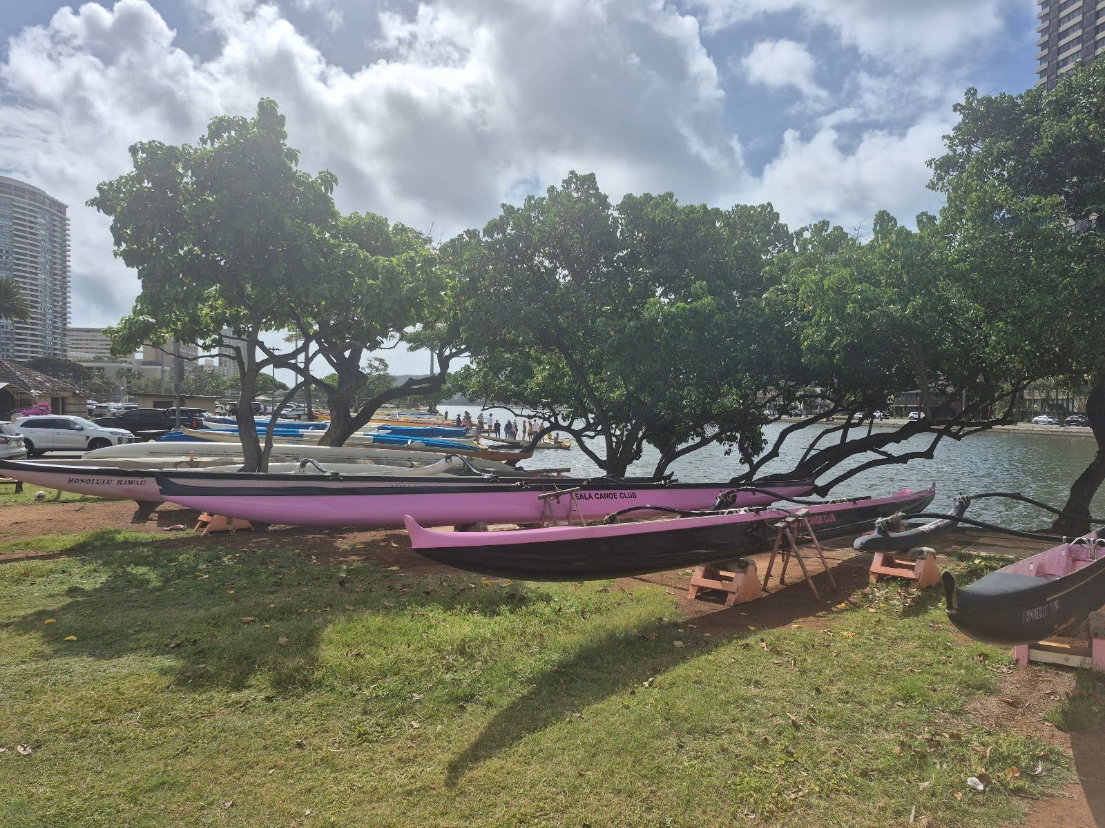 Photo 8 of Ala Wai Community Park in Ala Moana & Mōʻiliʻili, Oahu