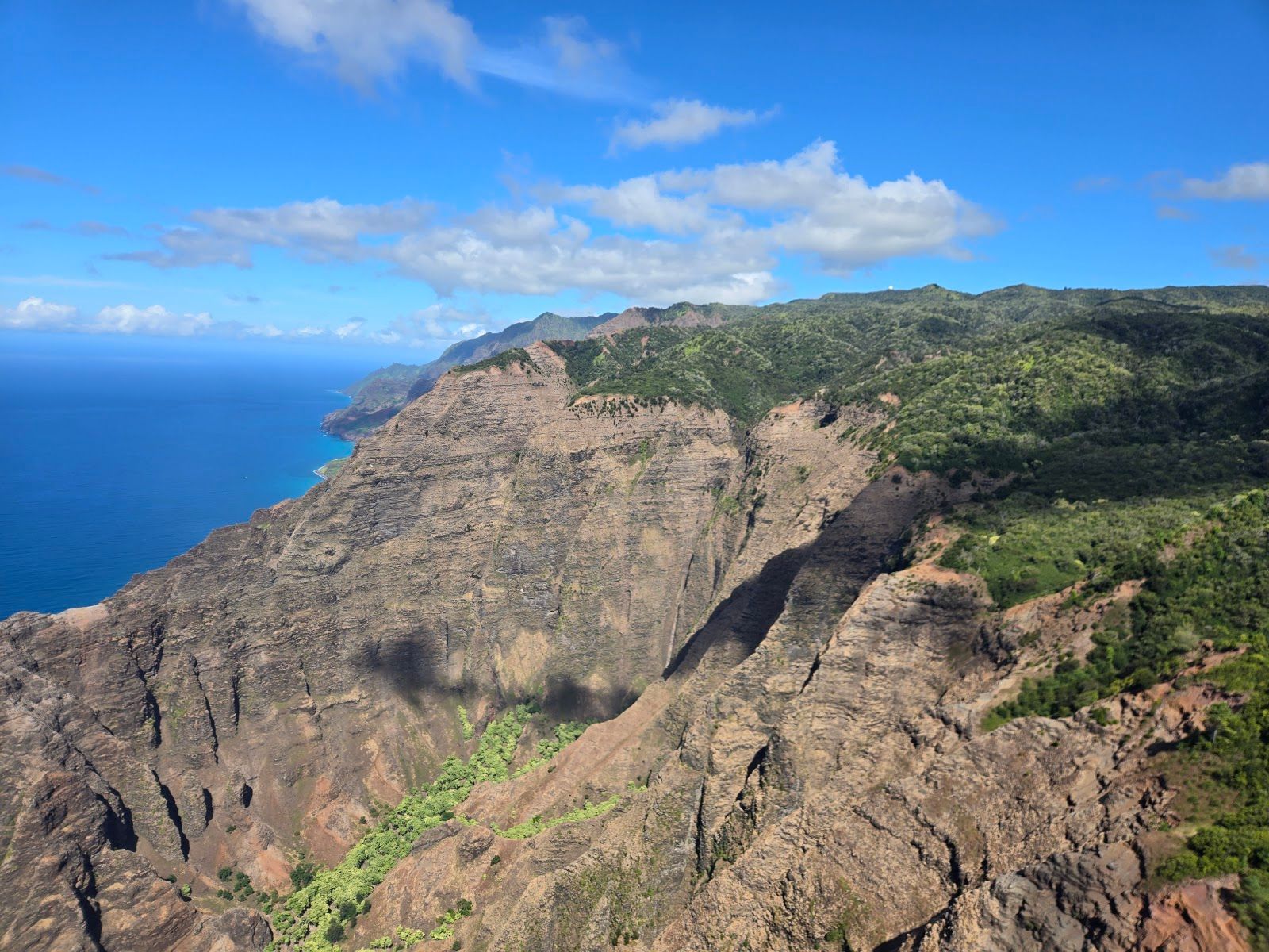 Na Pali-Kona Forest Reserve in Waimea, Kaua‘i photo 6