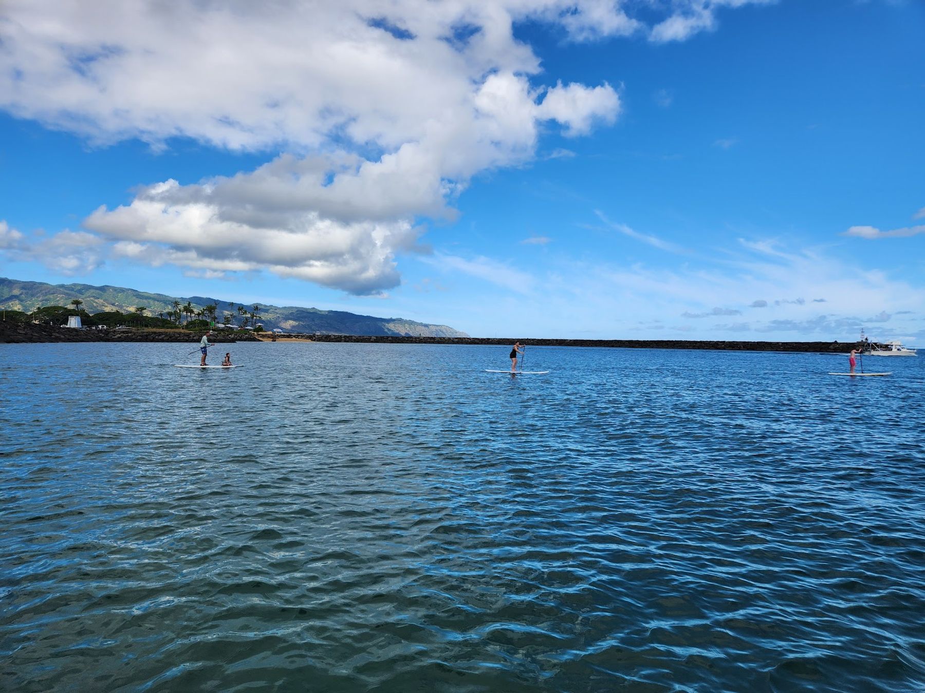 Photo 7 of Sea & Board Sports Hawaii in Haleʻiwa, Oahu