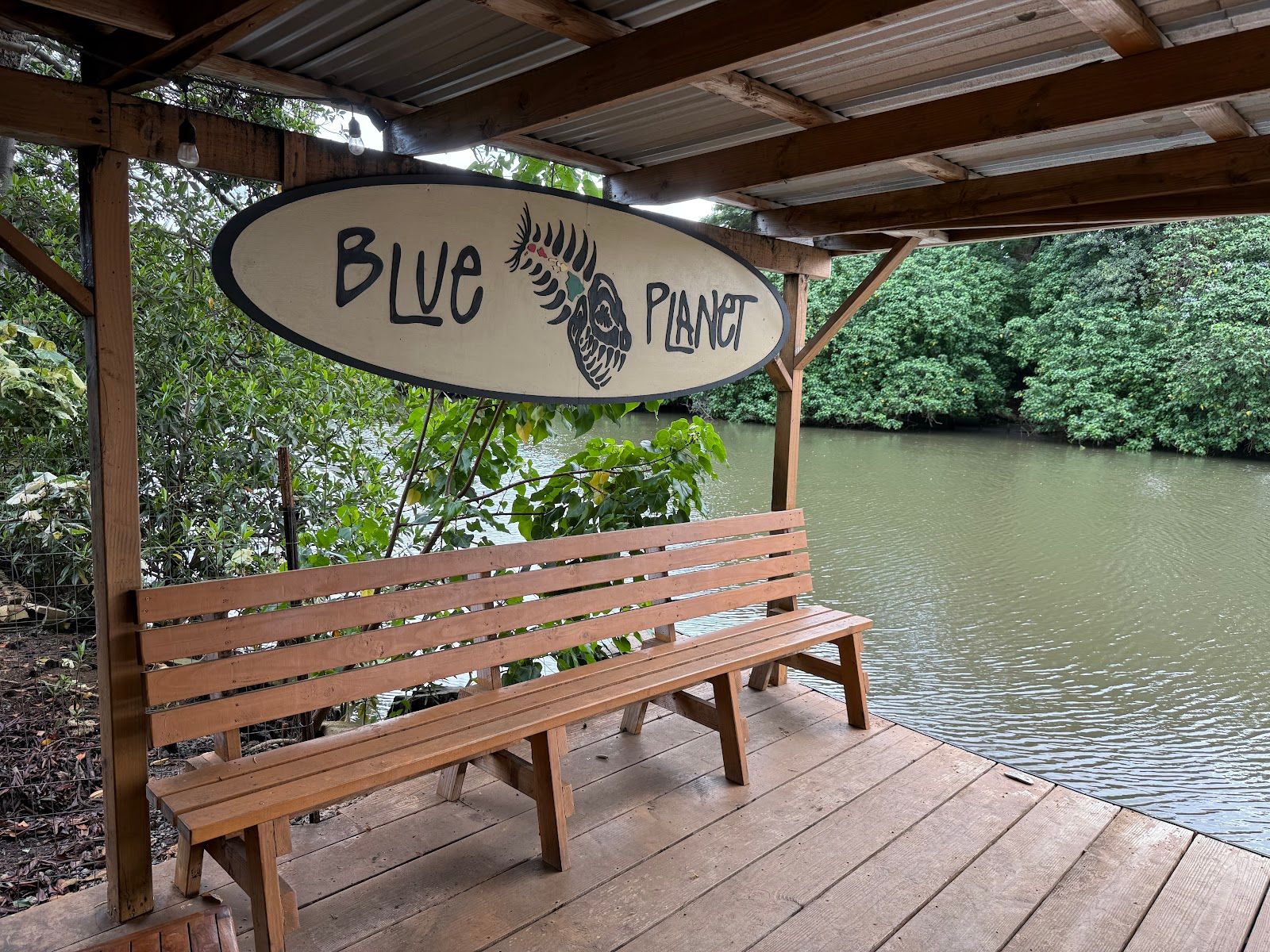 Photo 7 of Blue Planet Adventure Co in Haleʻiwa, Oahu