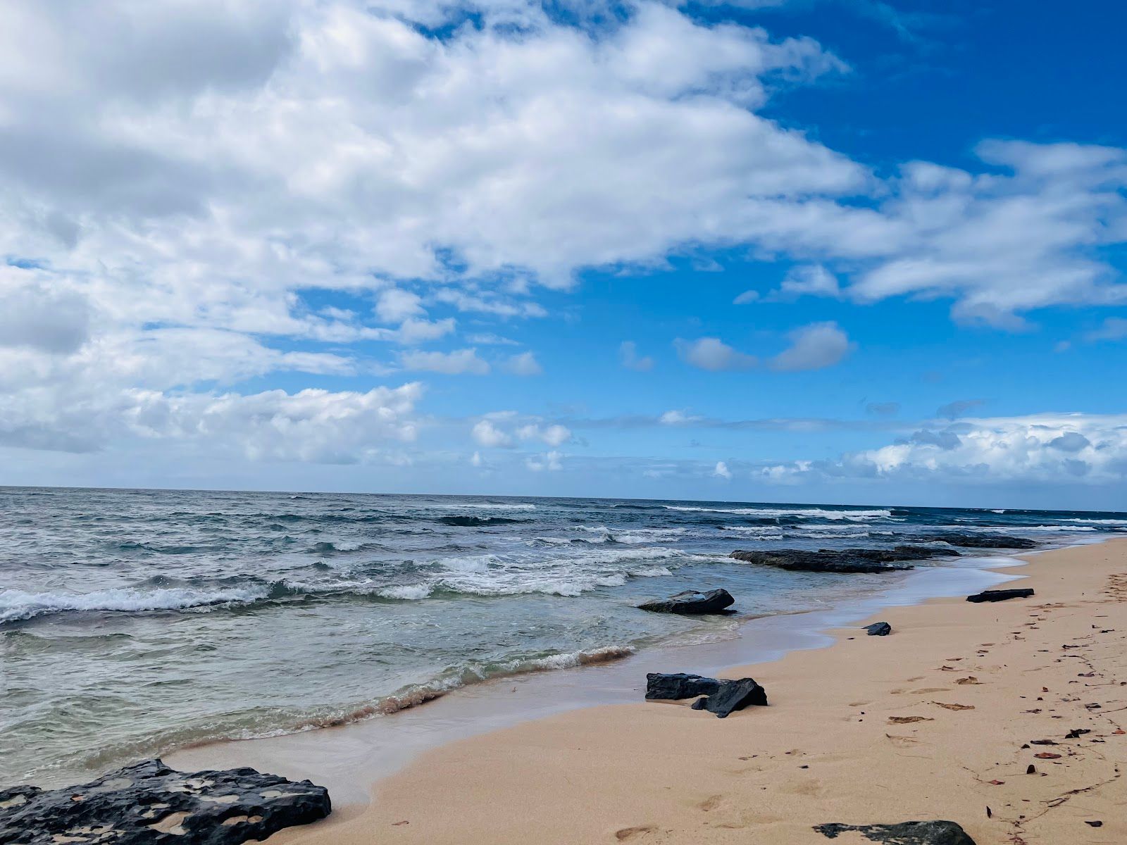 Photo 5 of Laniakea Beach in Haleʻiwa, Oahu