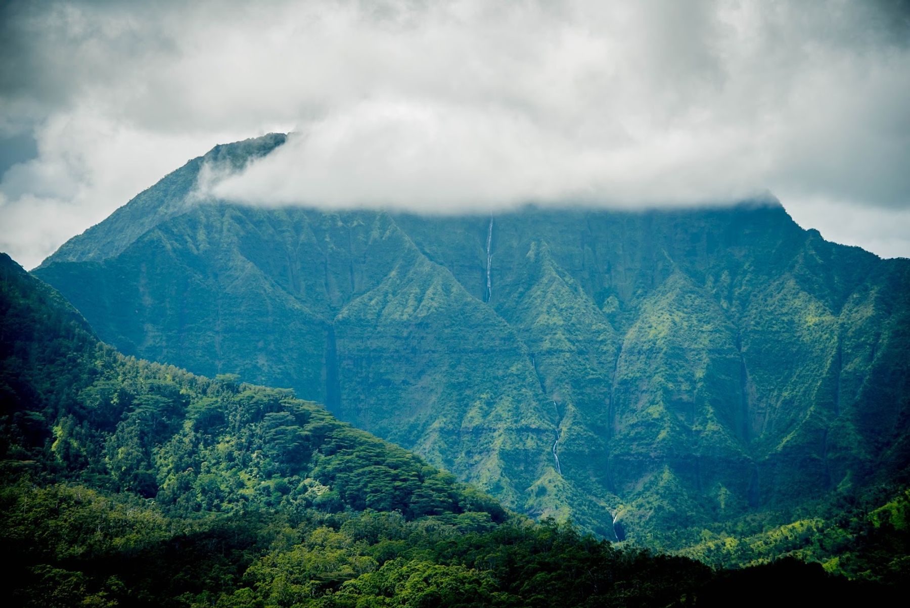 Hanalei Bay Lookout in Princeville, Kaua‘i photo 4