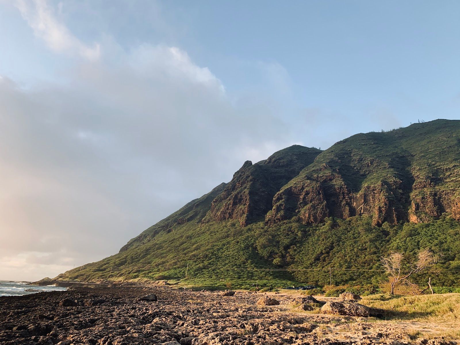 Where to See Oʻahu Wildlife Responsibly