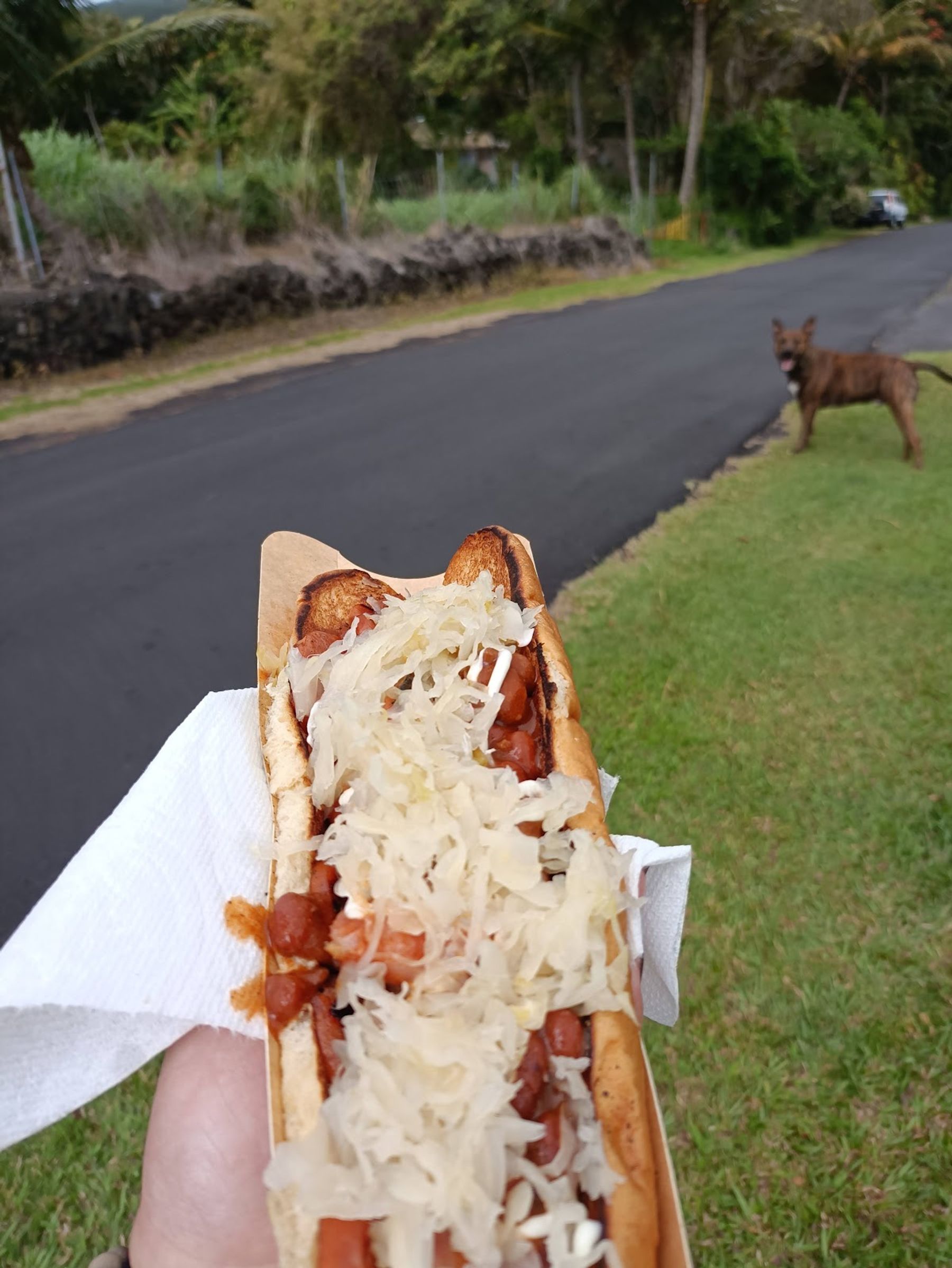 Photo 3 of Big Dogs Hot Dogs in South Point, Big Island