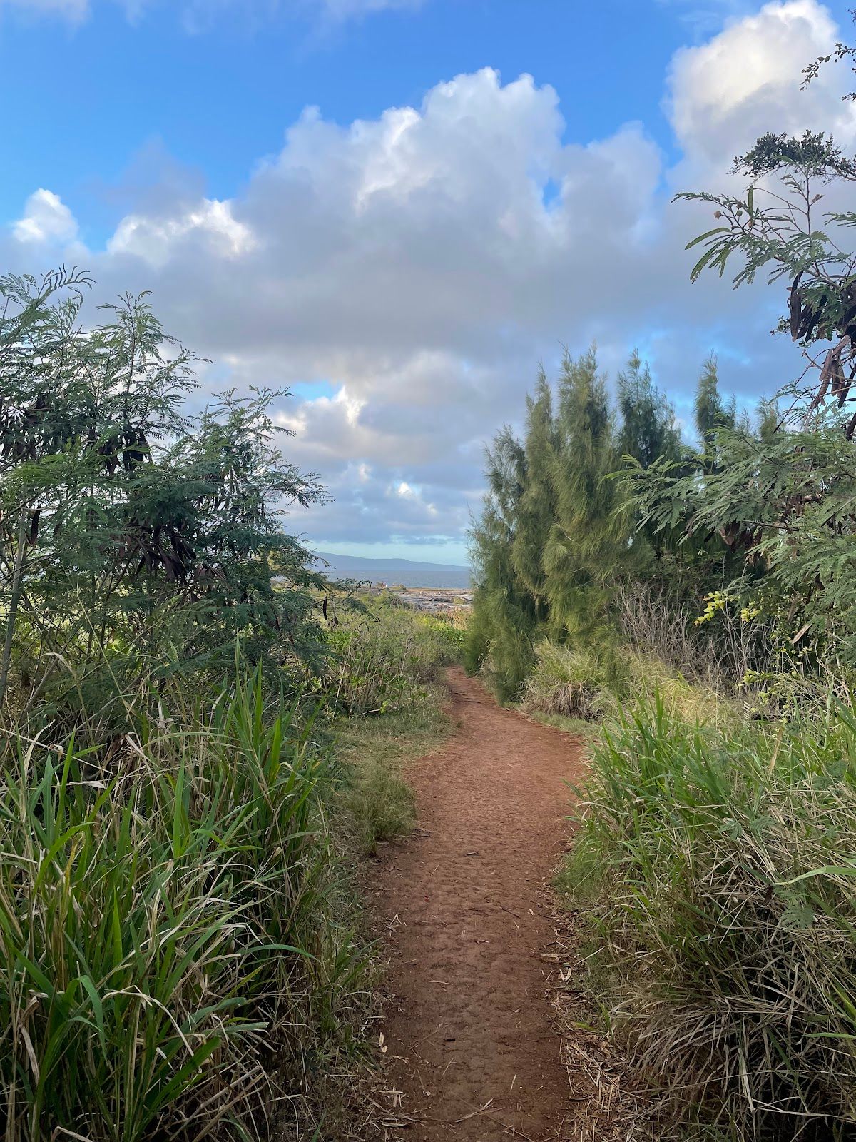 Photo 7 of Dragon's Teeth Access Trail, Kapalua in Kapalua, Maui