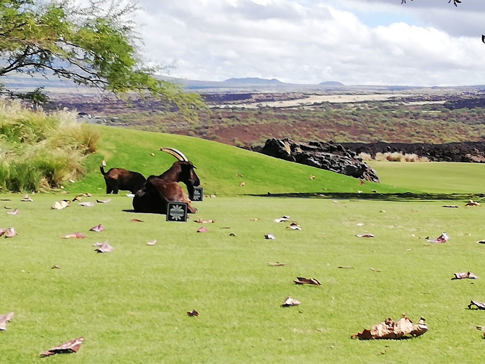 Photo 2 of Waikōloa Kings' Nine in Waikoloa, Big Island