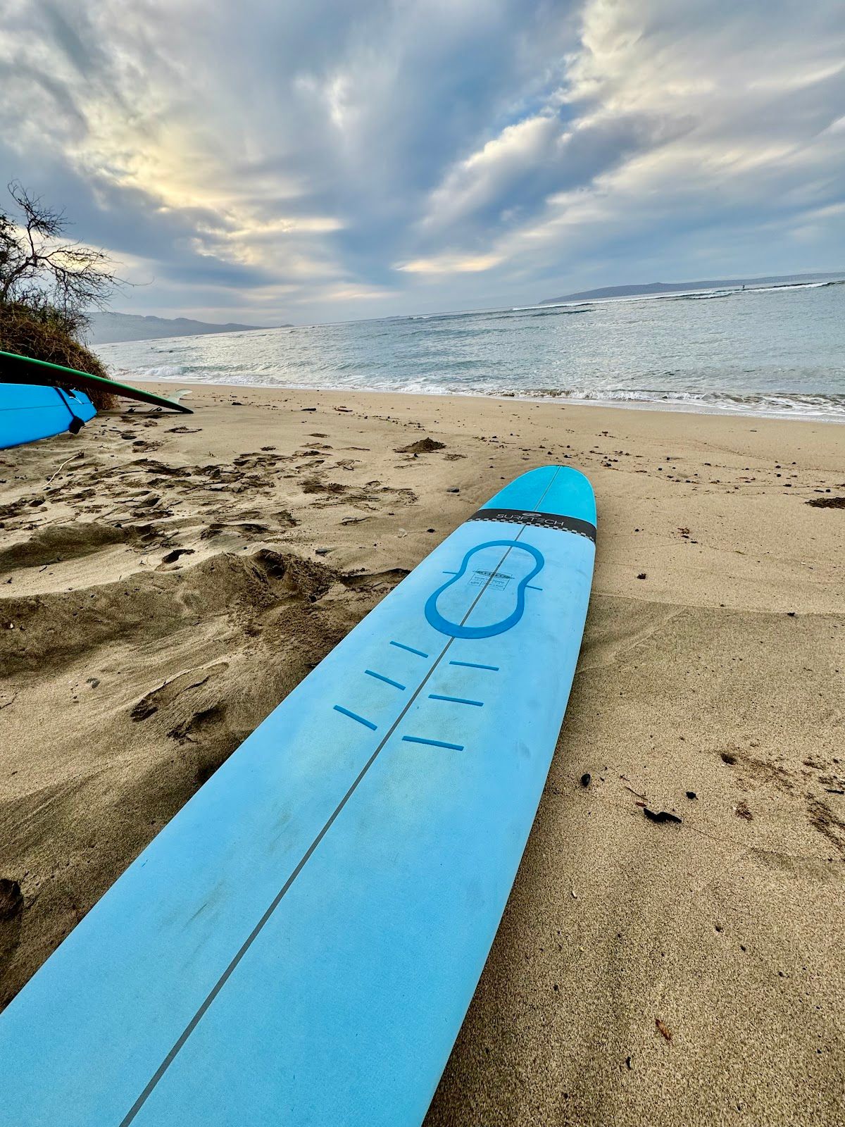 Photo 5 of Swell Maui Surf Lessons in Kīhei, Maui