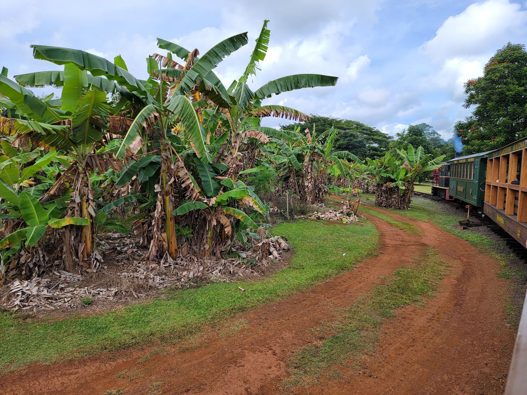 Kilohana in Lihue, Kaua‘i photo 5