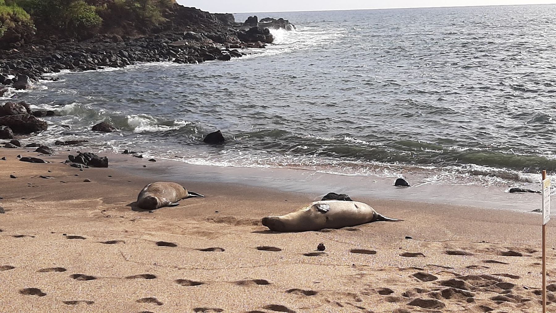 Glass Beach in Eleele, Kaua‘i photo 6