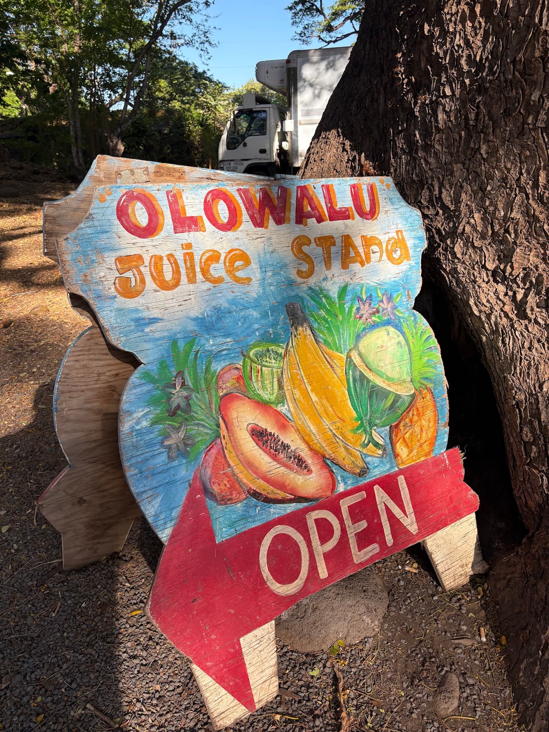 Photo 6 of Olowalu Juice Stand in Olowalu, Maui