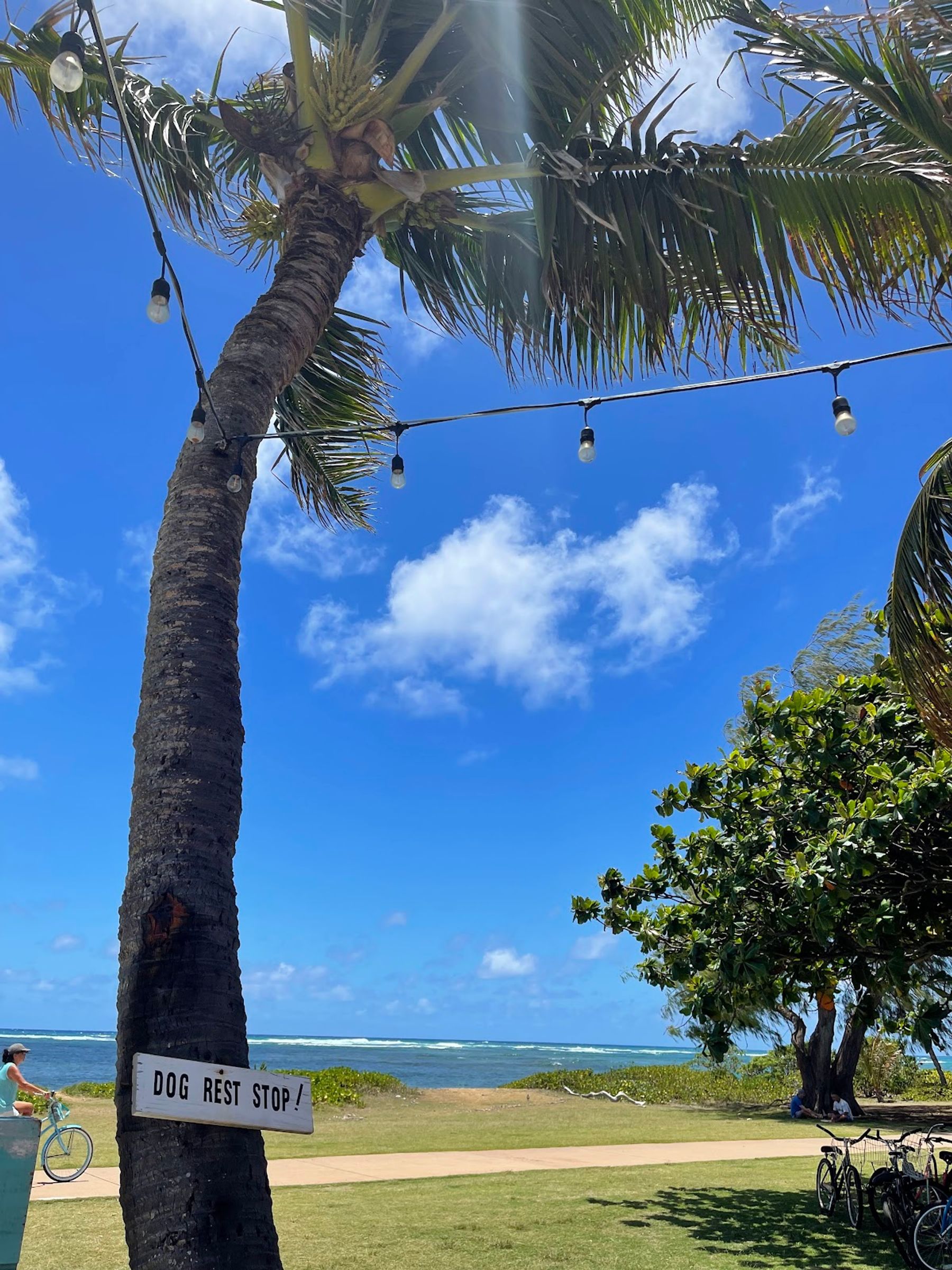 Photo 8 of Namaste Indian Food in Wailua, Kauai