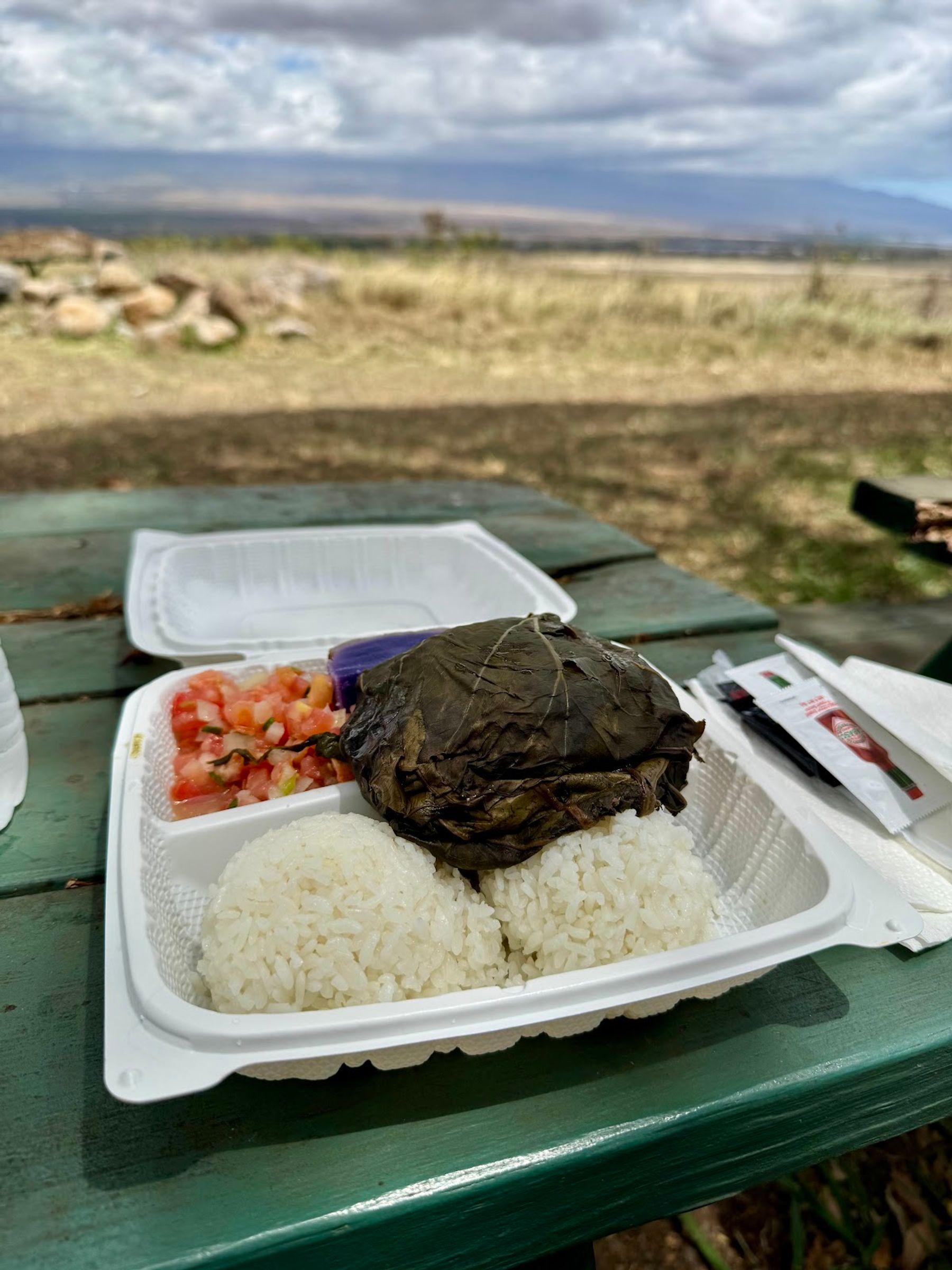 Photo 5 of Waikapu On 30 in Wailuku, Maui