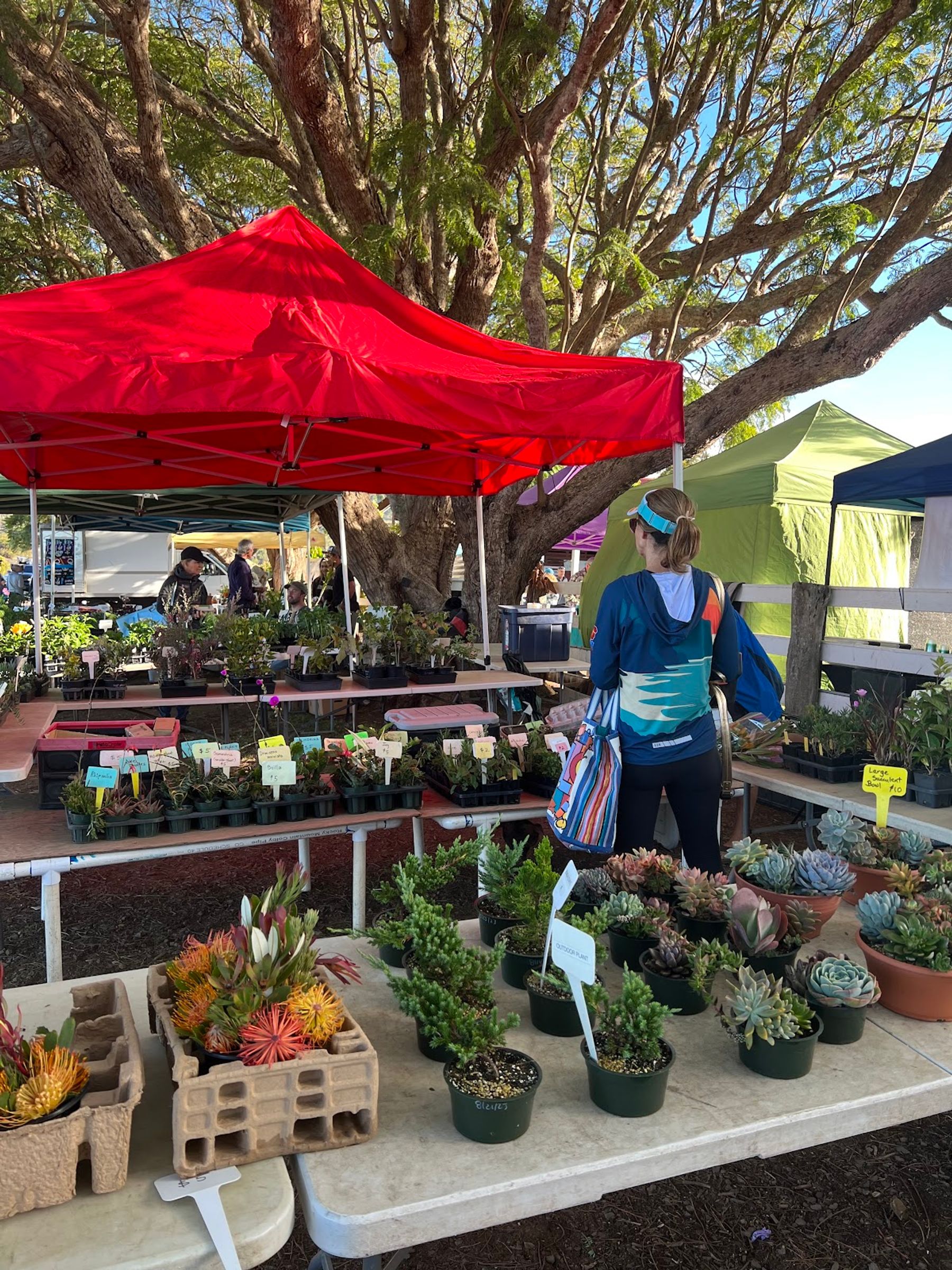 Photo 5 of Waimea Midweek Market in Waimea, Big Island
