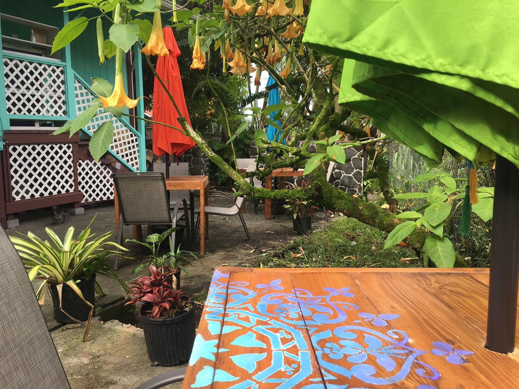 Photo 1 of Pahoa Village Hostel in Pāhoa, Big-island