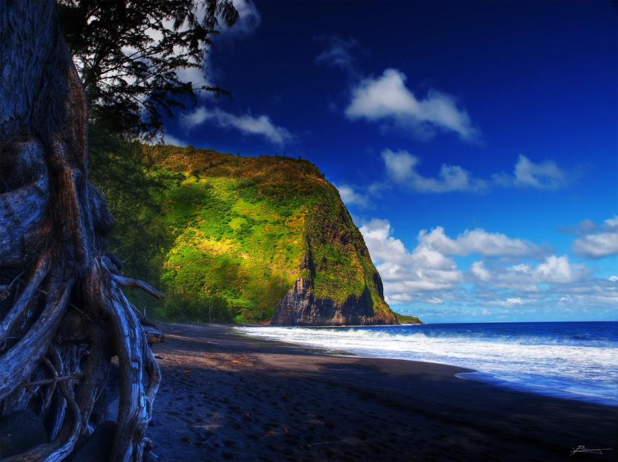 Black sand beach with surf beside a steep green sea cliff and a tree trunk in the foreground at Waipiʻo Valley on Hawaii Island.