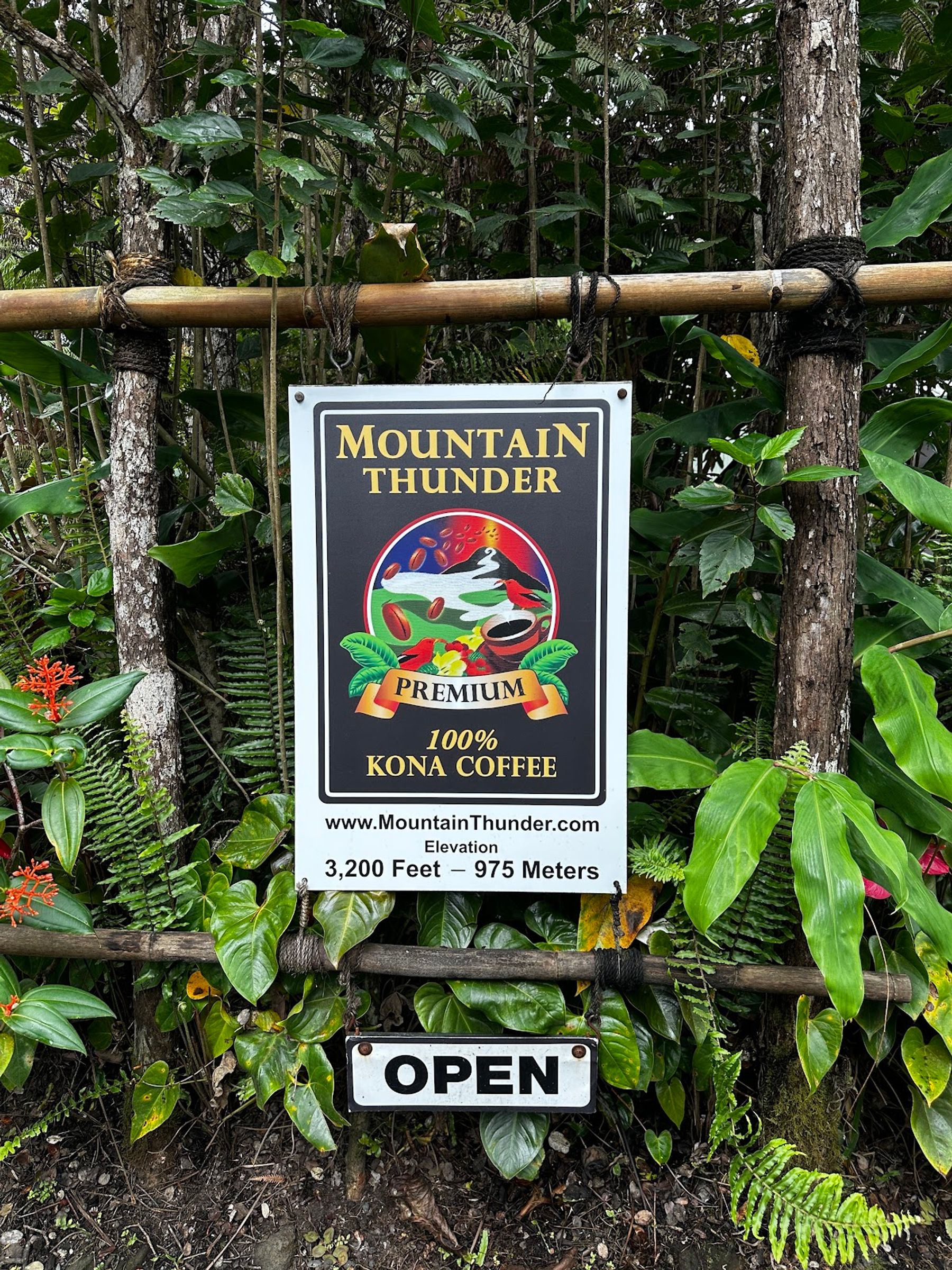 Photo 3 of Mountain Thunder Coffee Plantation in Hōlualoa, Big Island