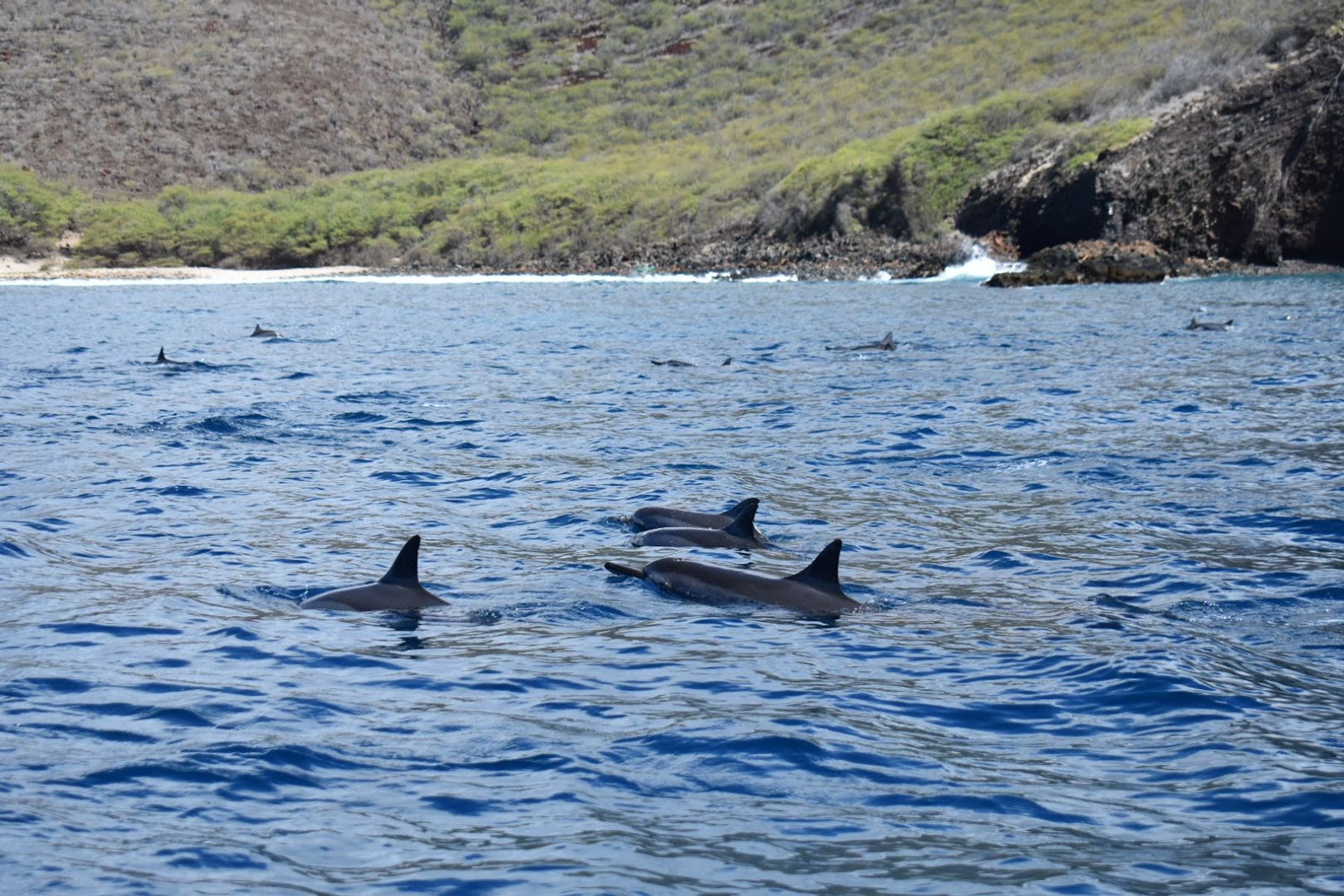 Photo 2 of Maui Adventure Cruises in Lāhainā, Maui