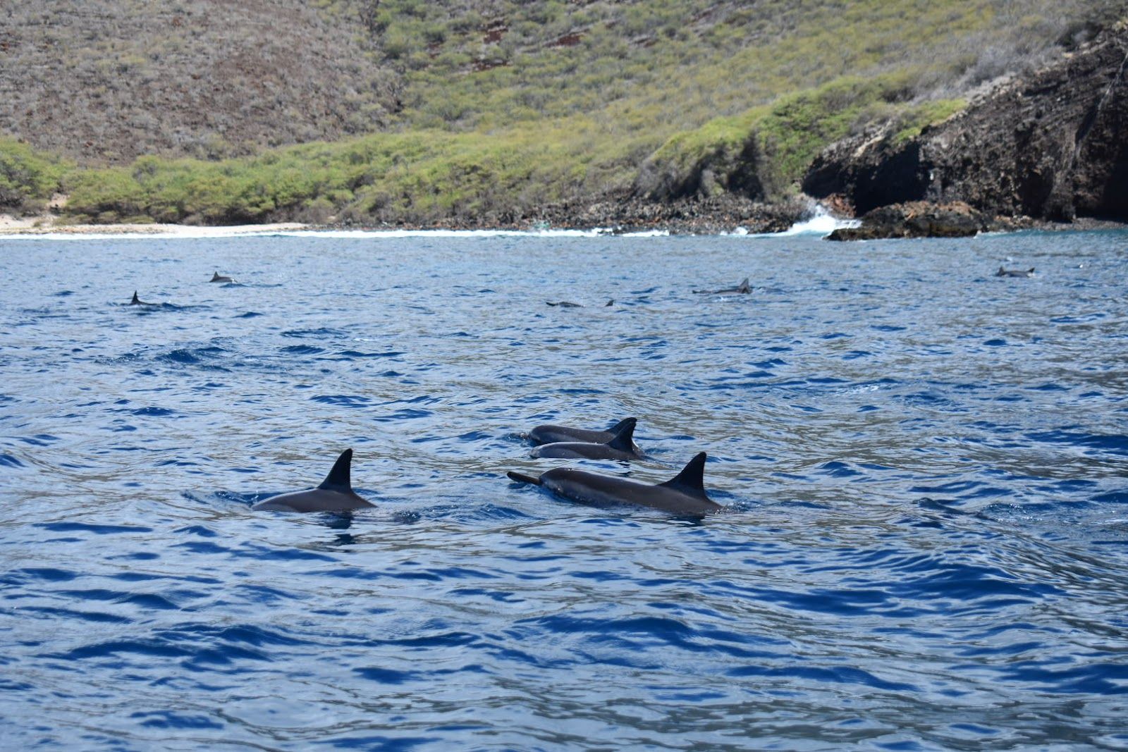 Photo 2 of Maui Adventure Cruises in Lāhainā, Maui